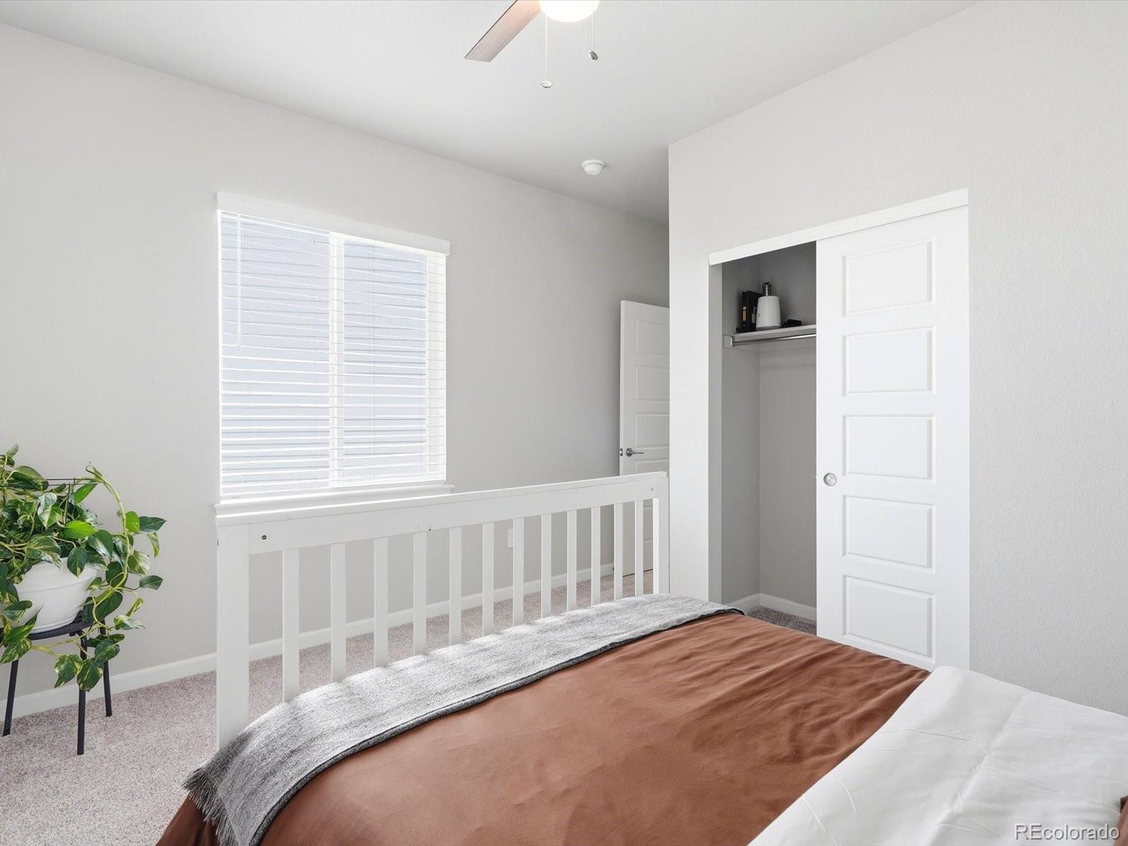 MLS Image #20 for 6664  merrimack drive,castle pines, Colorado