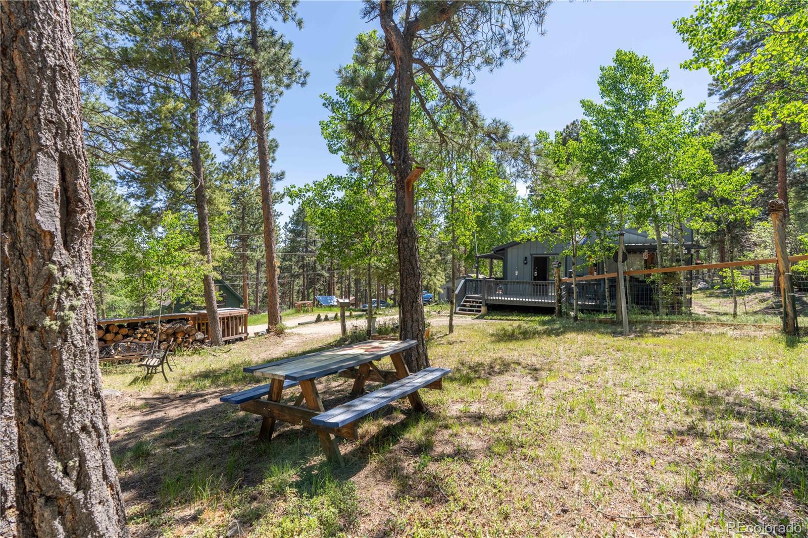 MLS Image #16 for 22003  eggers avenue,conifer, Colorado