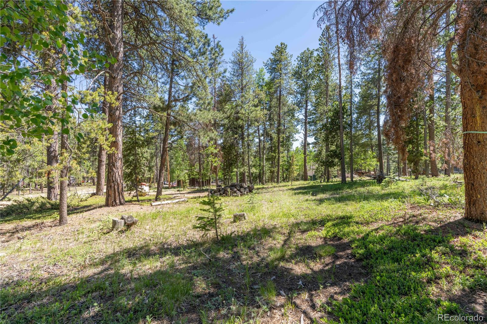 MLS Image #17 for 22003  eggers avenue,conifer, Colorado