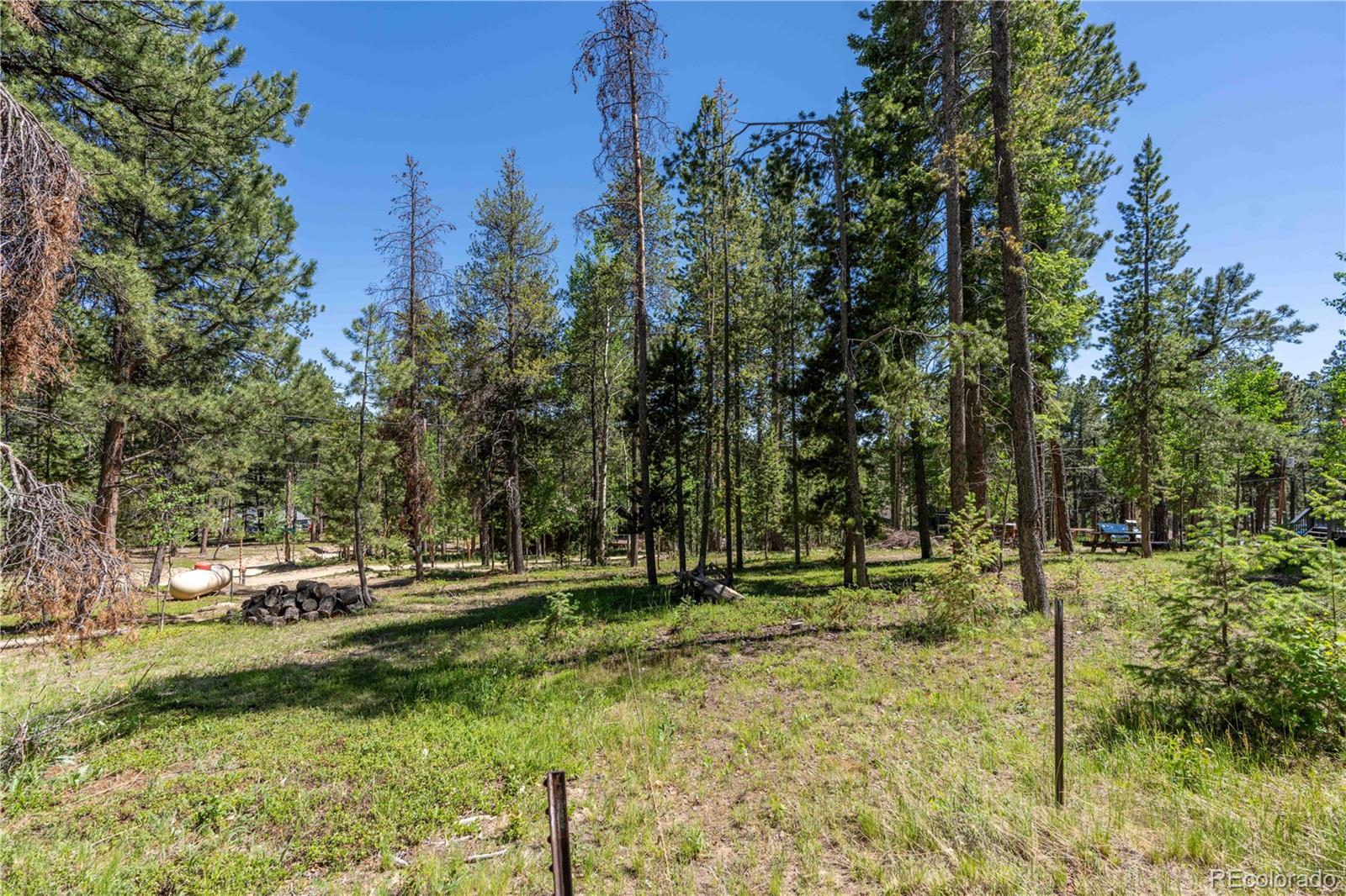 MLS Image #18 for 22003  eggers avenue,conifer, Colorado