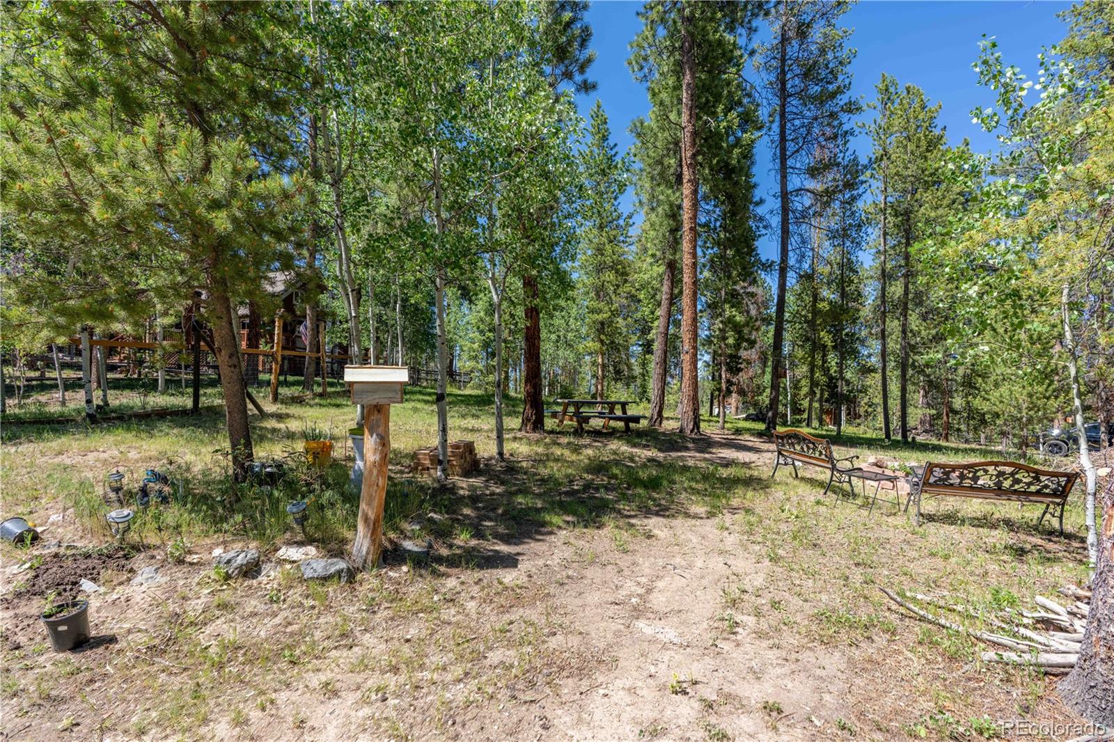 MLS Image #19 for 22003  eggers avenue,conifer, Colorado