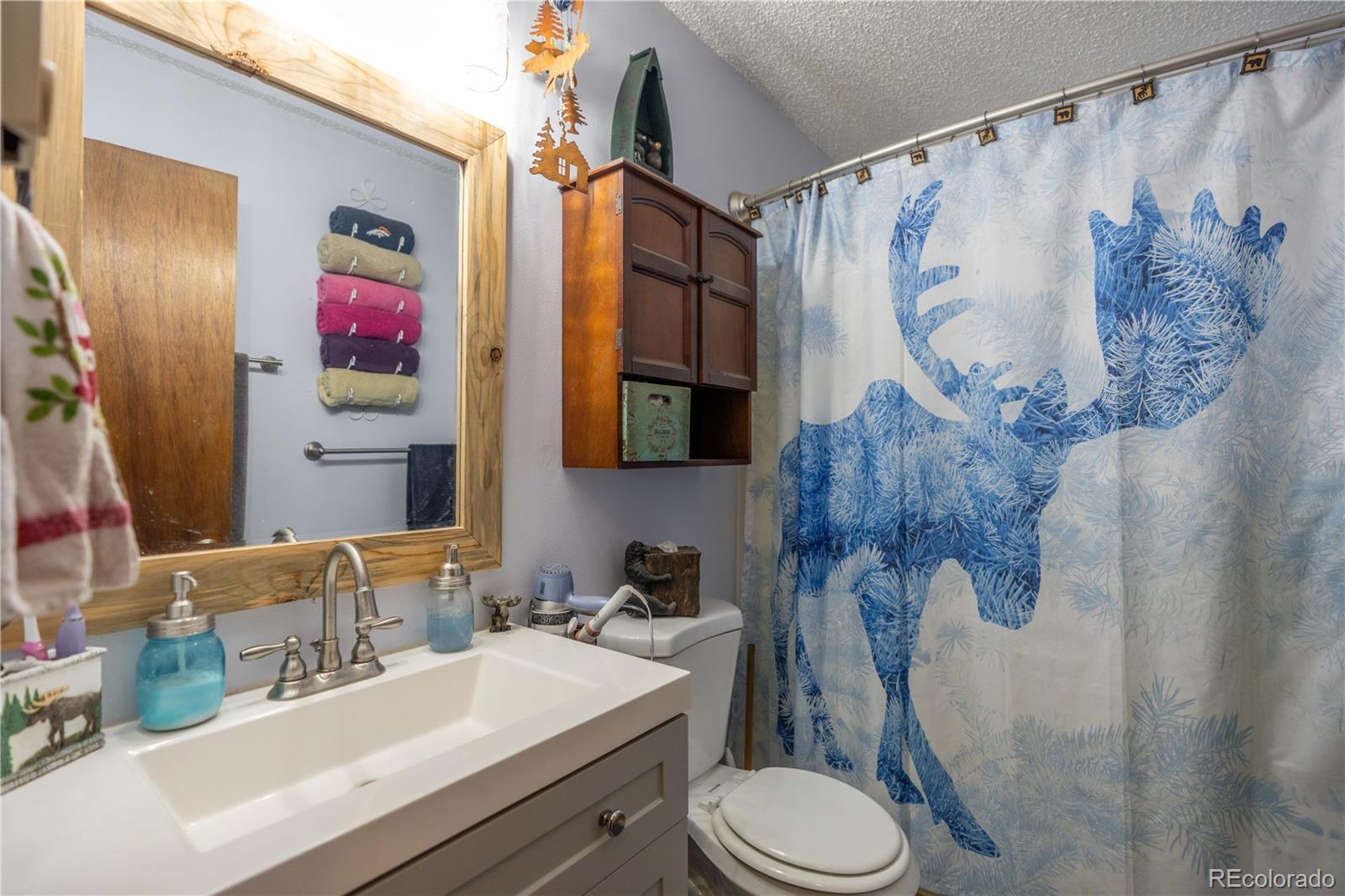 MLS Image #8 for 22003  eggers avenue,conifer, Colorado