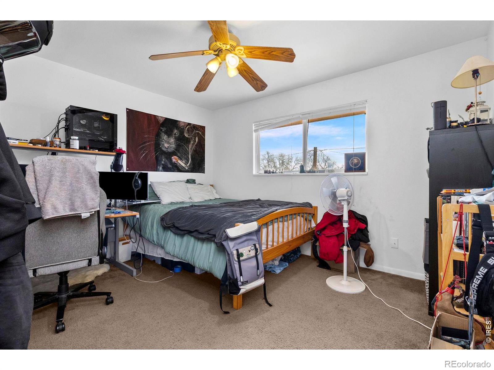MLS Image #8 for 1200  ash drive,fort collins, Colorado