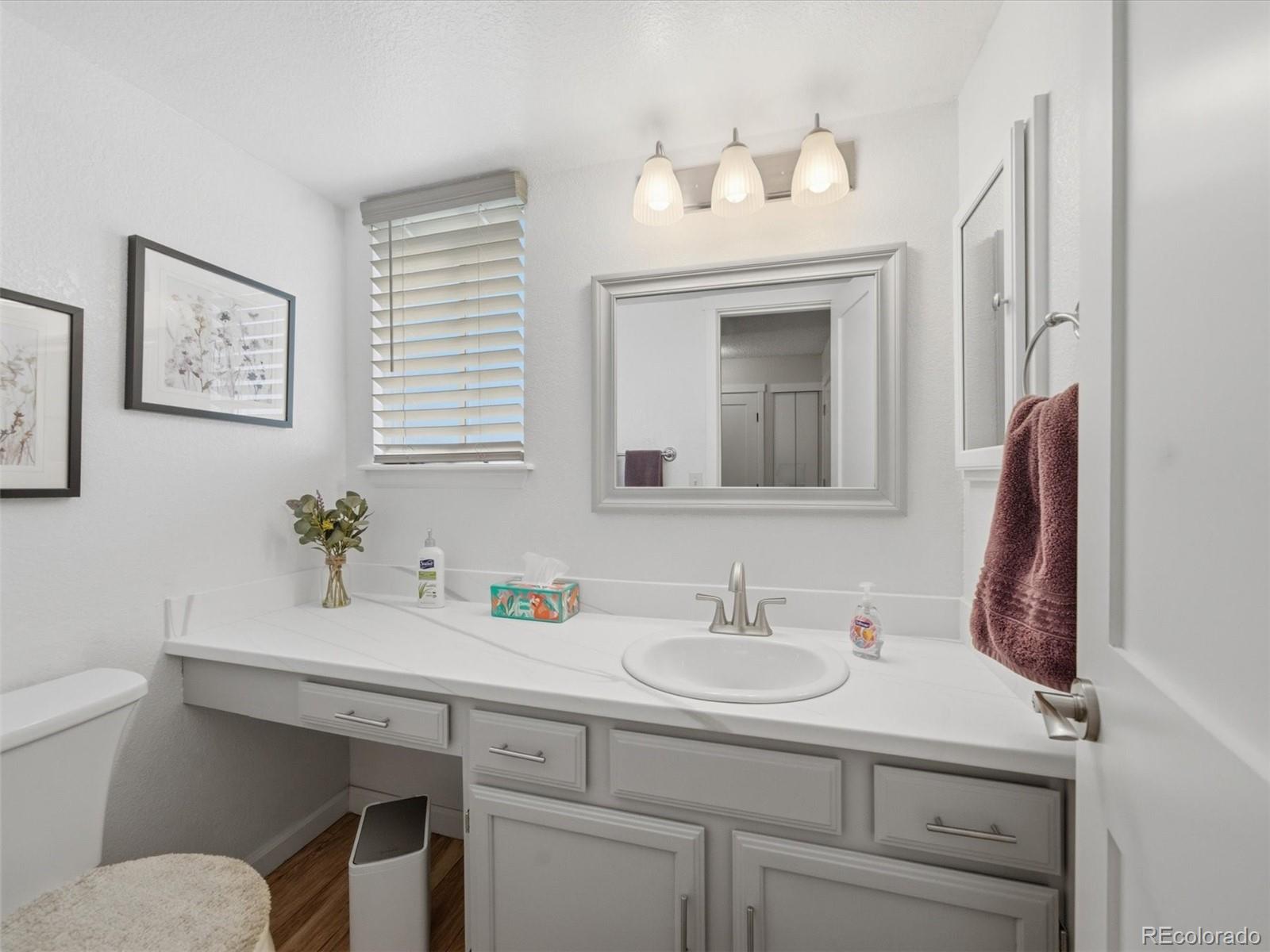 MLS Image #11 for 7977 w morraine drive,littleton, Colorado