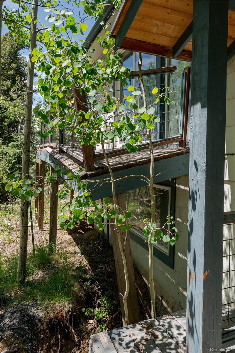 MLS Image #22 for 11682  baca road,conifer, Colorado