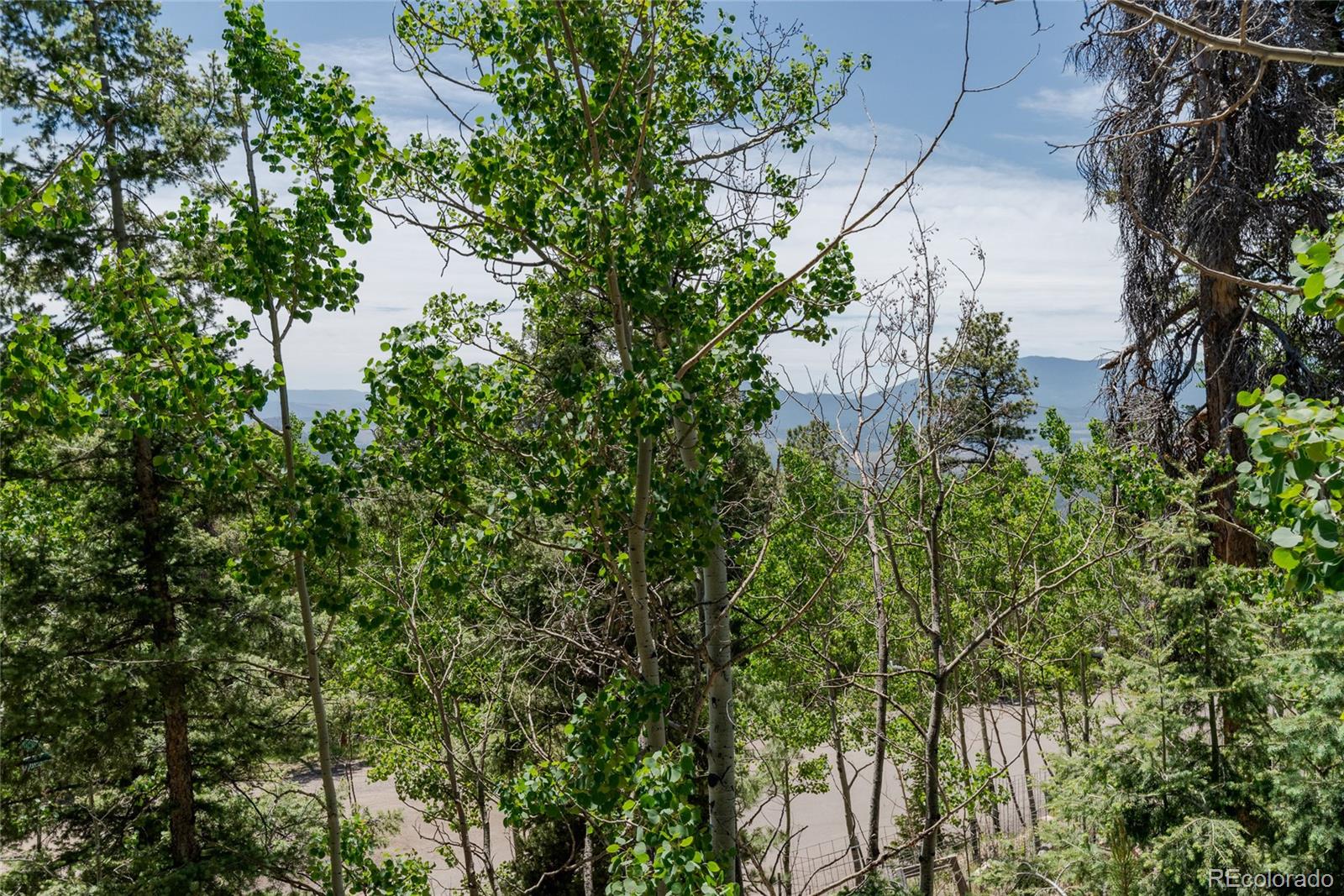 MLS Image #32 for 11682  baca road,conifer, Colorado
