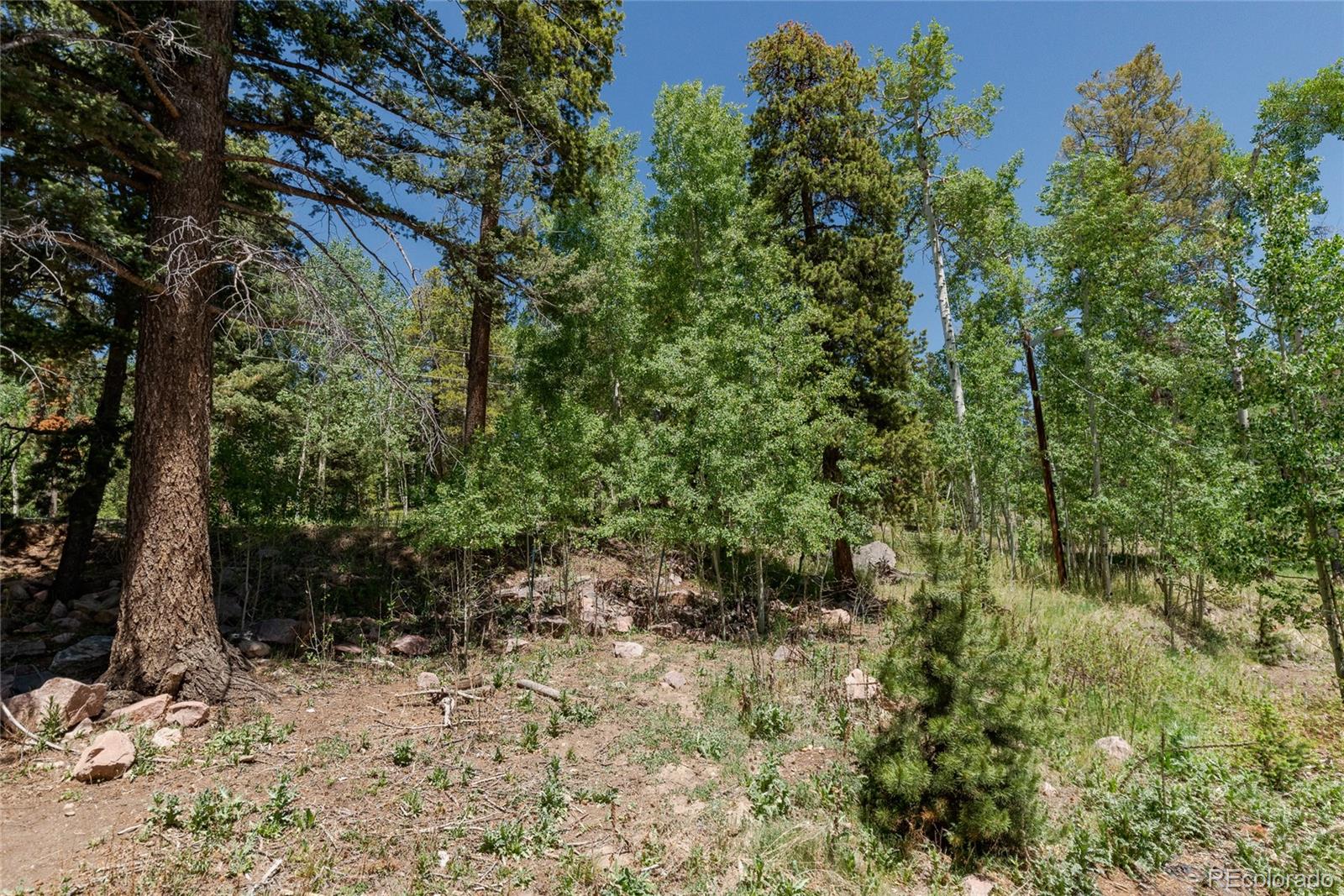MLS Image #33 for 11682  baca road,conifer, Colorado