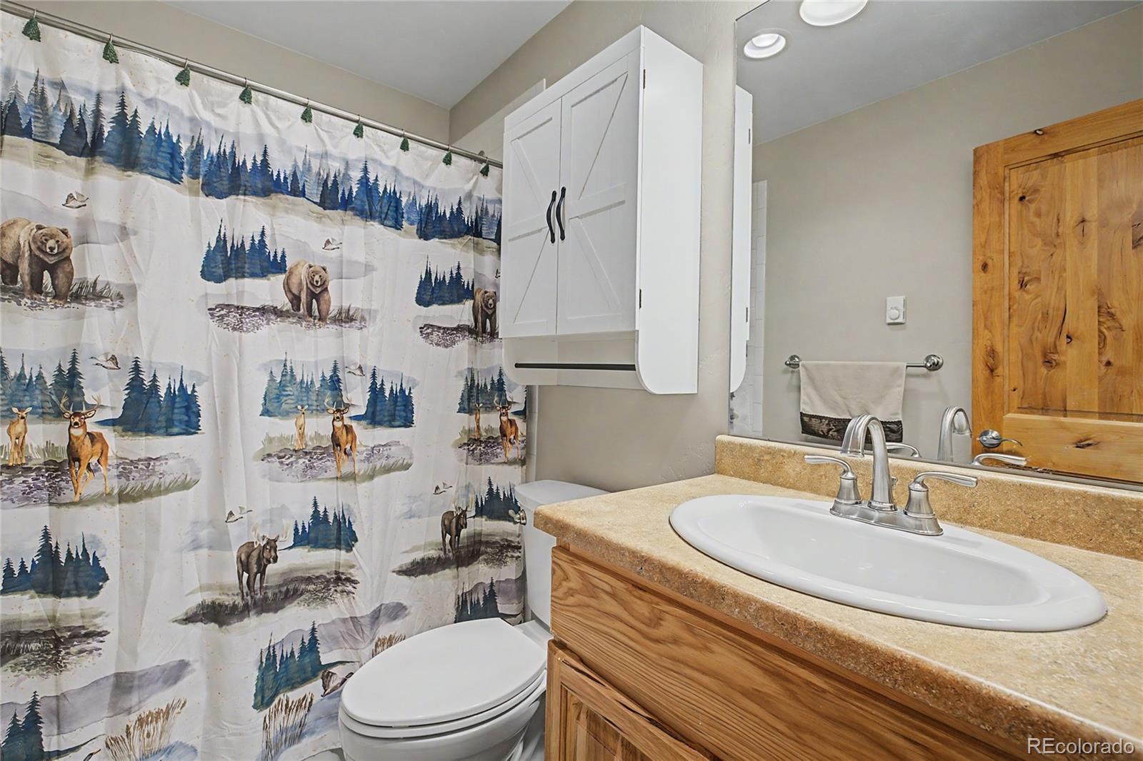 MLS Image #14 for 6726  ryan gulch road,silverthorne, Colorado