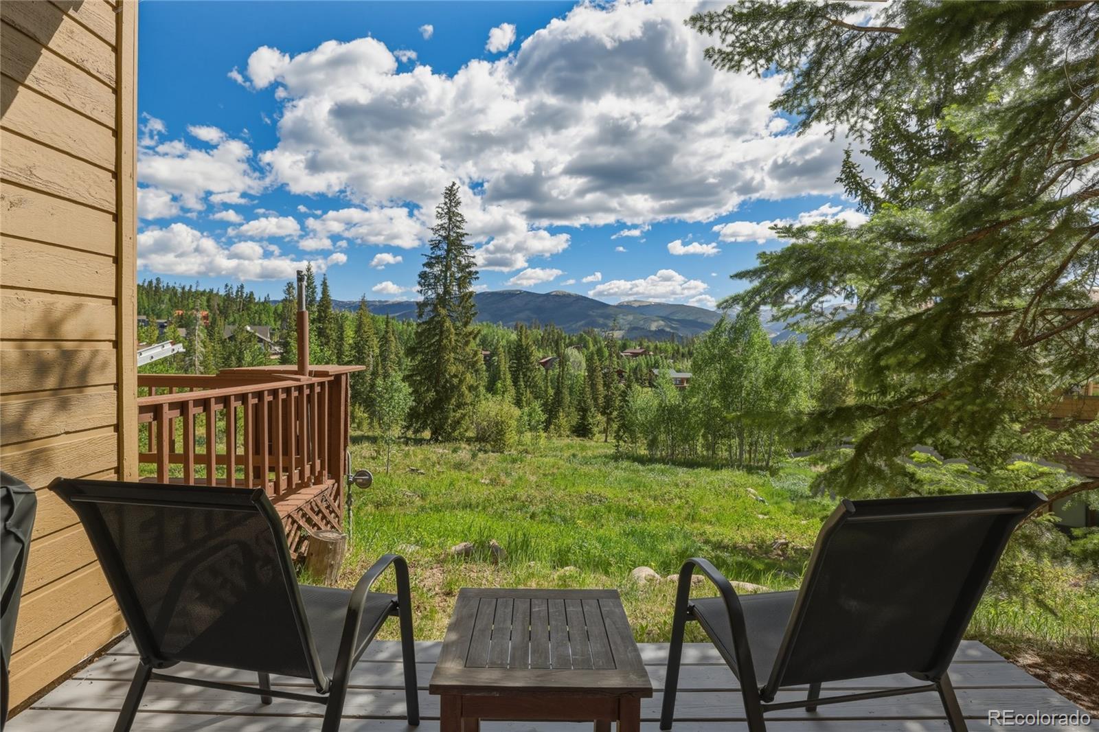 MLS Image #19 for 6726  ryan gulch road,silverthorne, Colorado