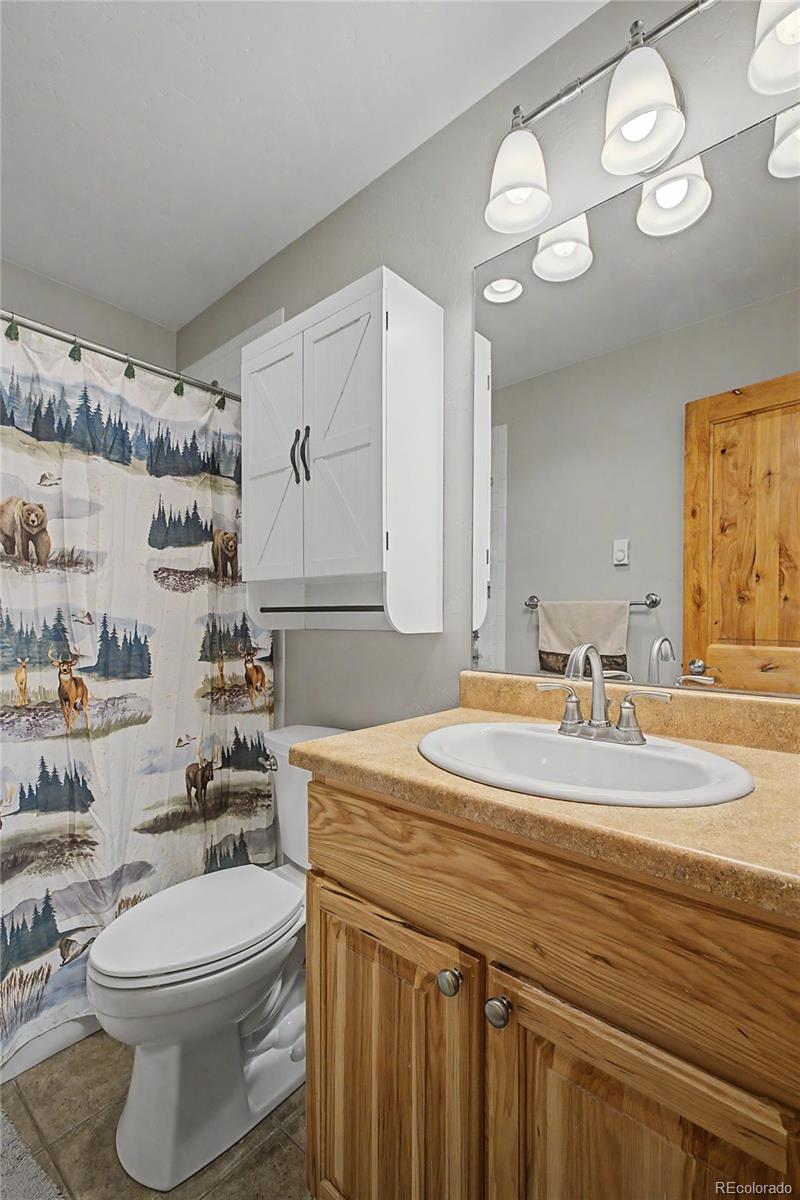 MLS Image #31 for 6726  ryan gulch road,silverthorne, Colorado