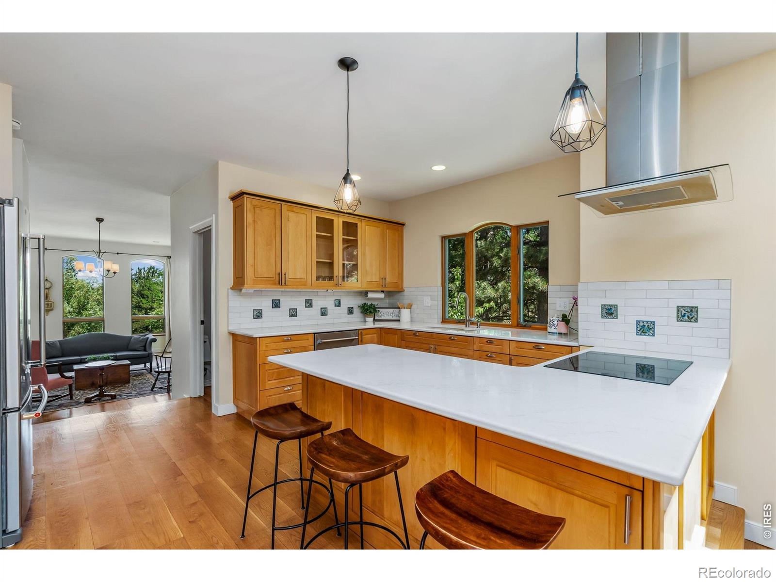 MLS Image #14 for 524  spring canyon court,fort collins, Colorado