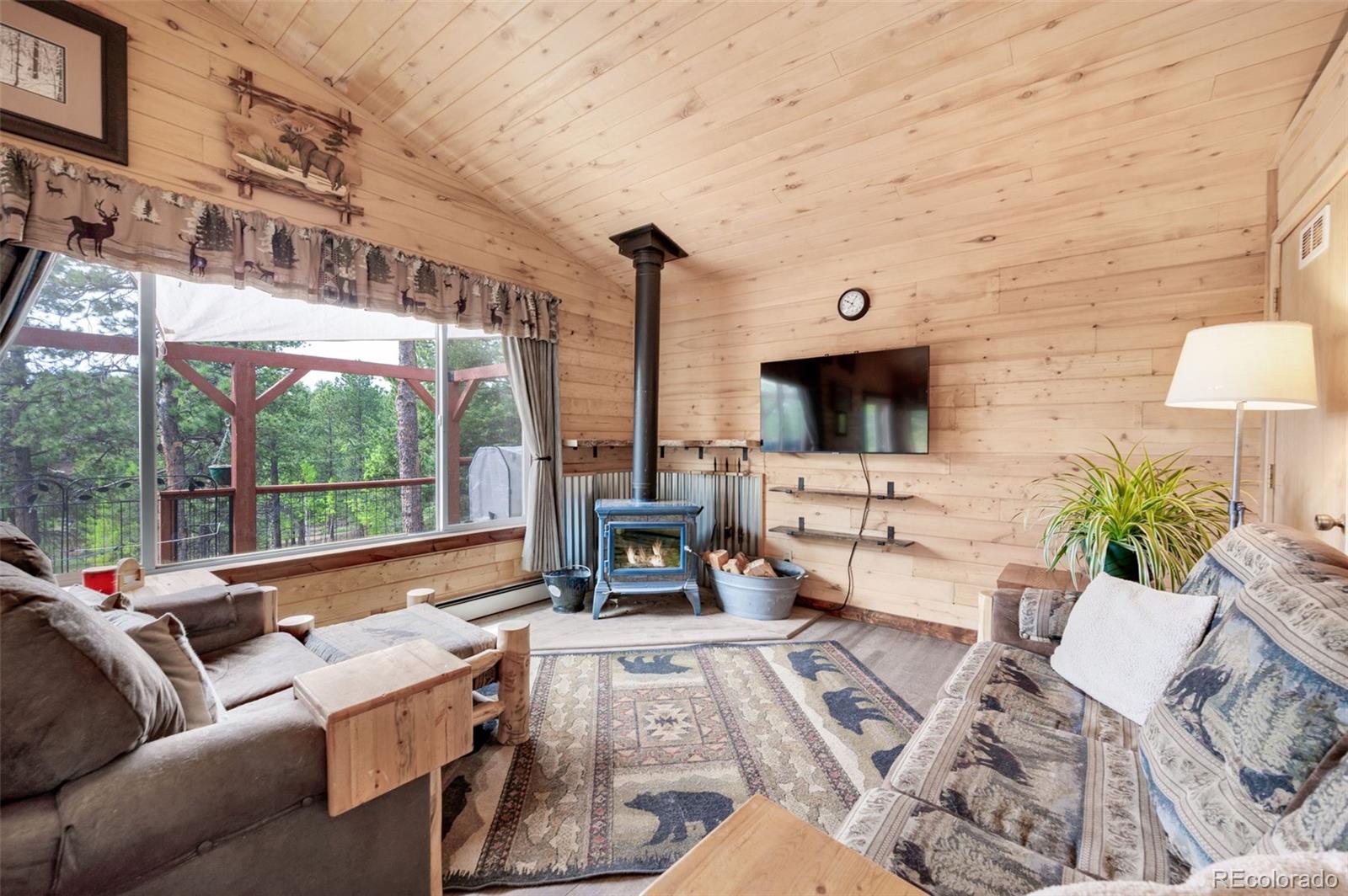 MLS Image #4 for 126  aspen circle,divide, Colorado