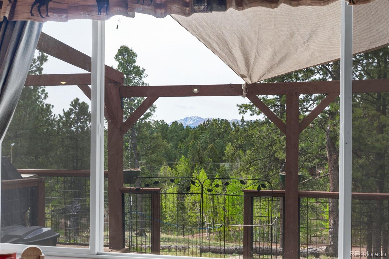 MLS Image #5 for 126  aspen circle,divide, Colorado