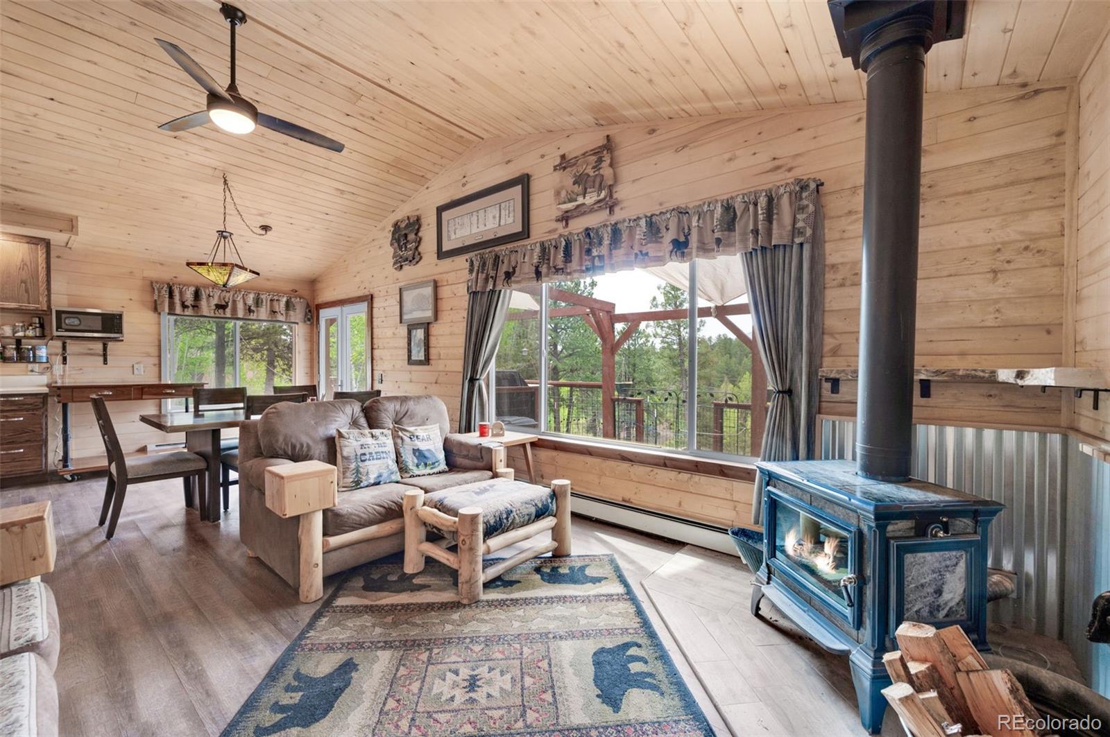 MLS Image #7 for 126  aspen circle,divide, Colorado