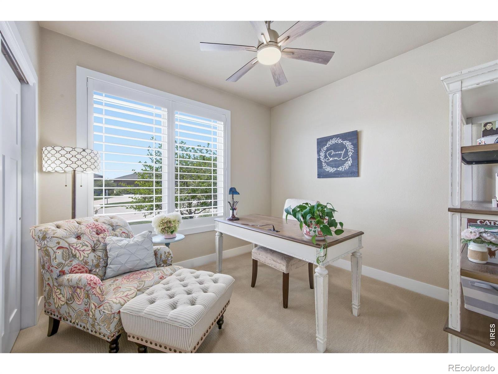 MLS Image #19 for 6924  water view court,timnath, Colorado