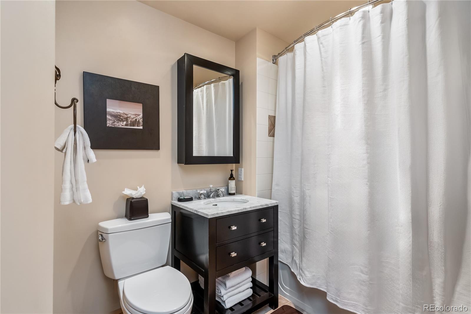 MLS Image #8 for 105  wheeler circle,frisco, Colorado