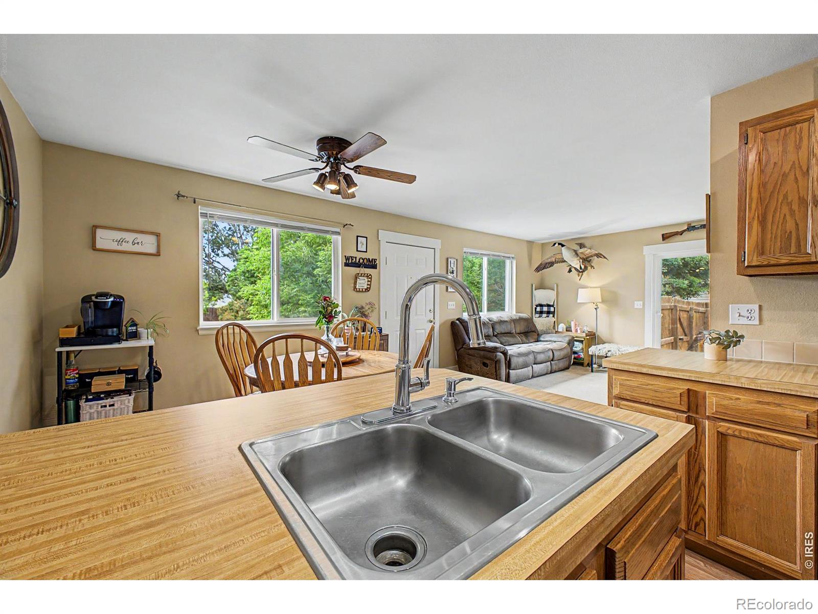 MLS Image #11 for 418  lakeview drive,severance, Colorado