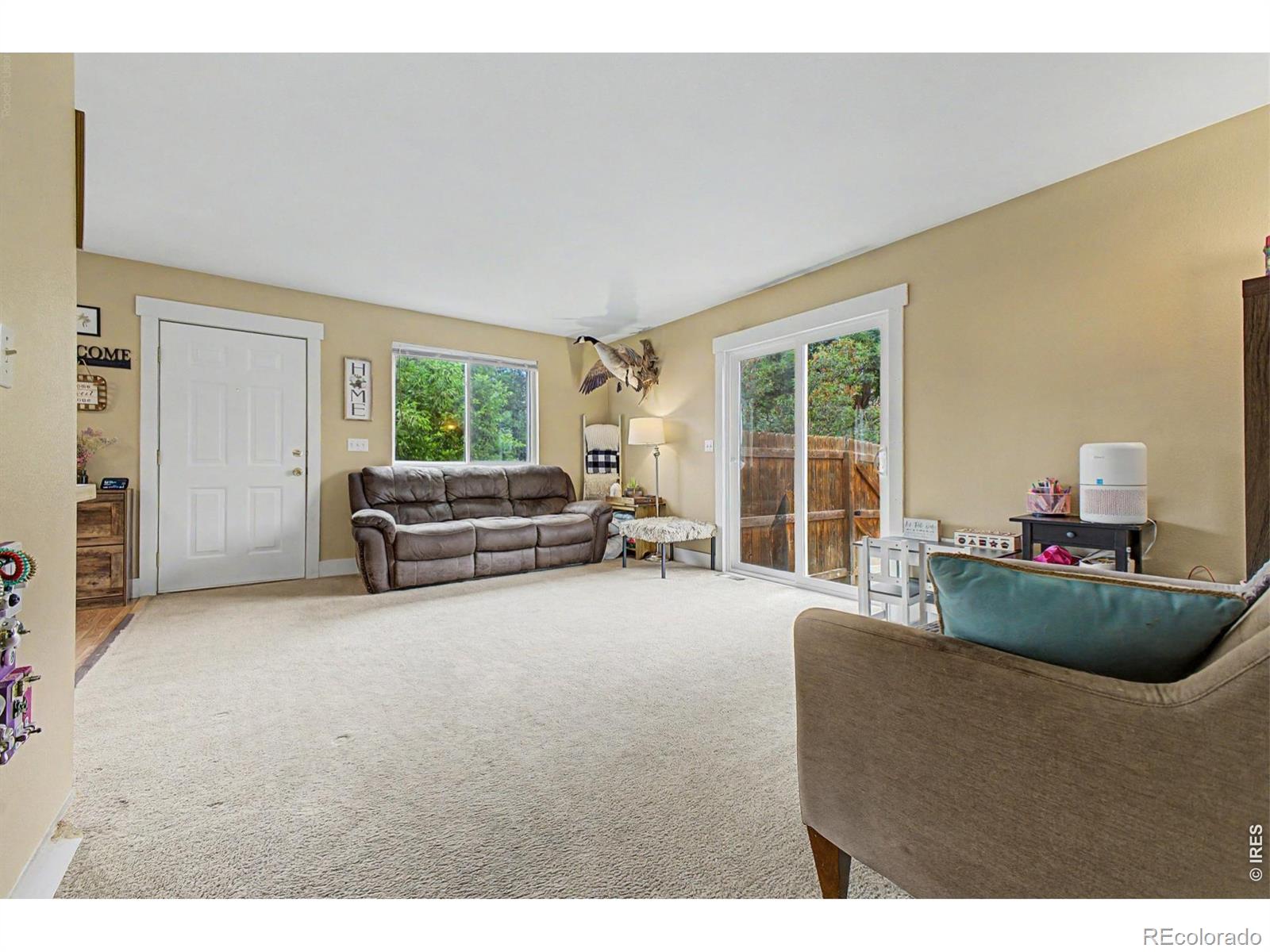 MLS Image #4 for 418  lakeview drive,severance, Colorado