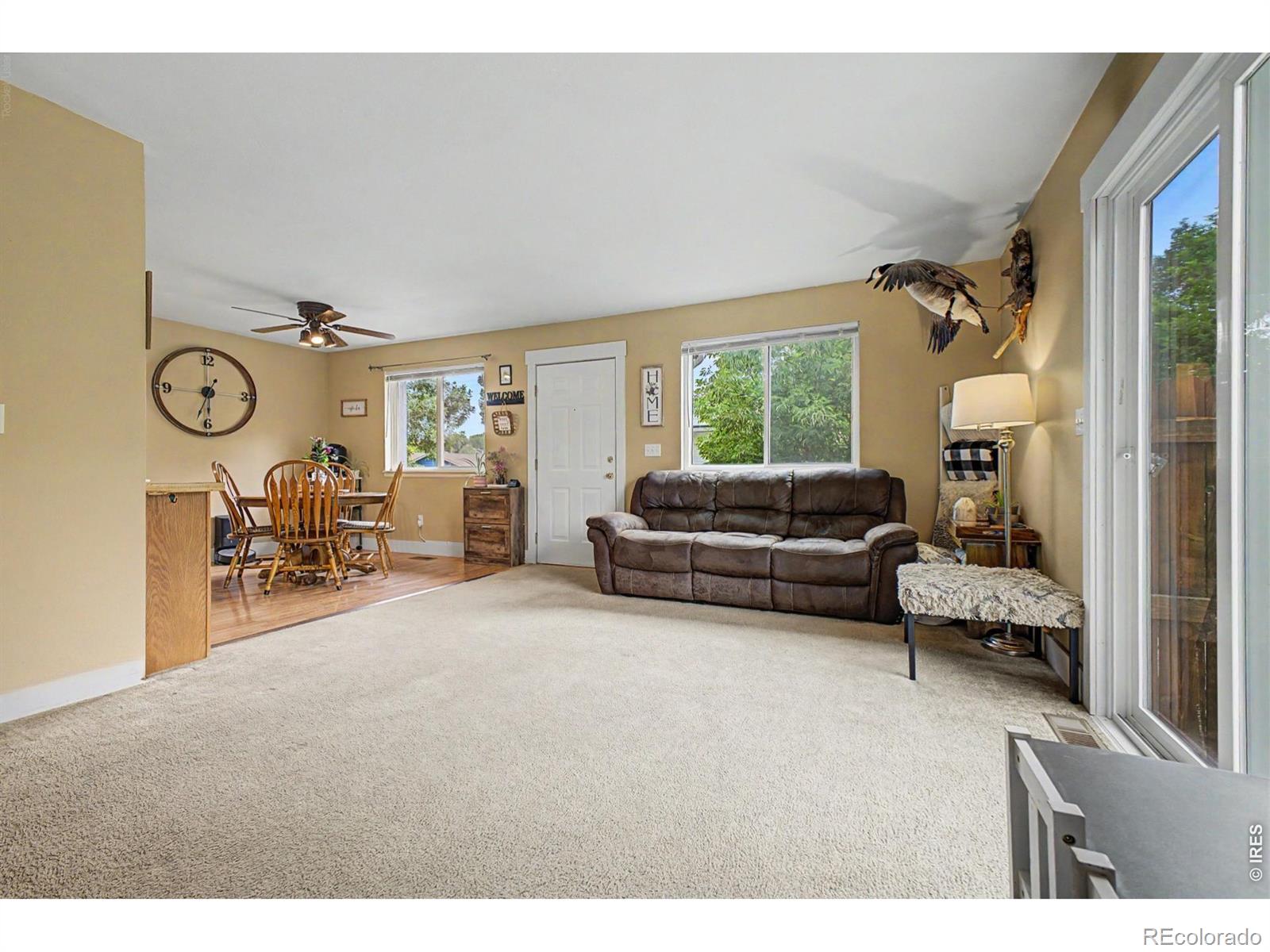 MLS Image #5 for 418  lakeview drive,severance, Colorado