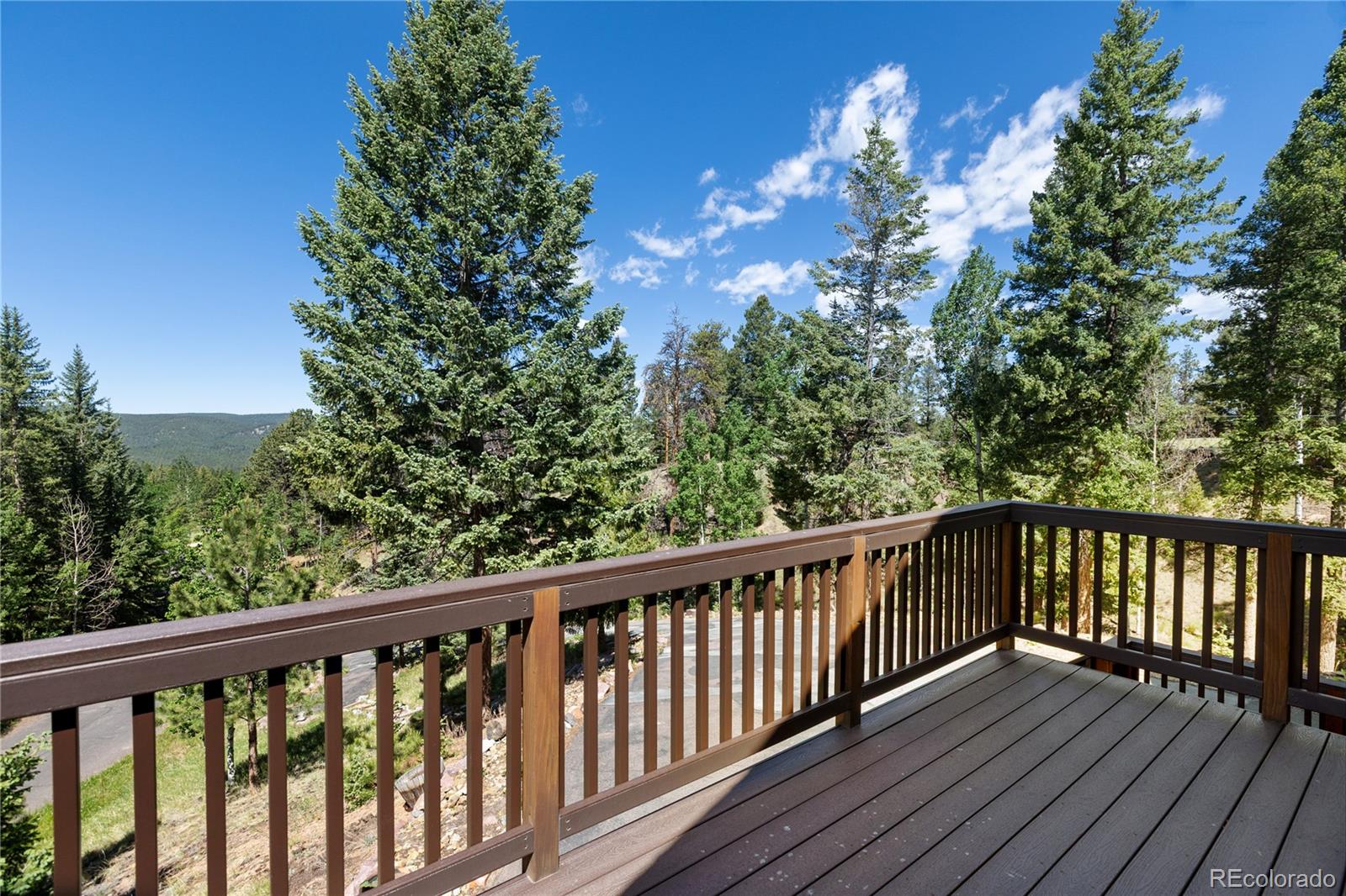 MLS Image #15 for 2988  sunnywood avenue,woodland park, Colorado