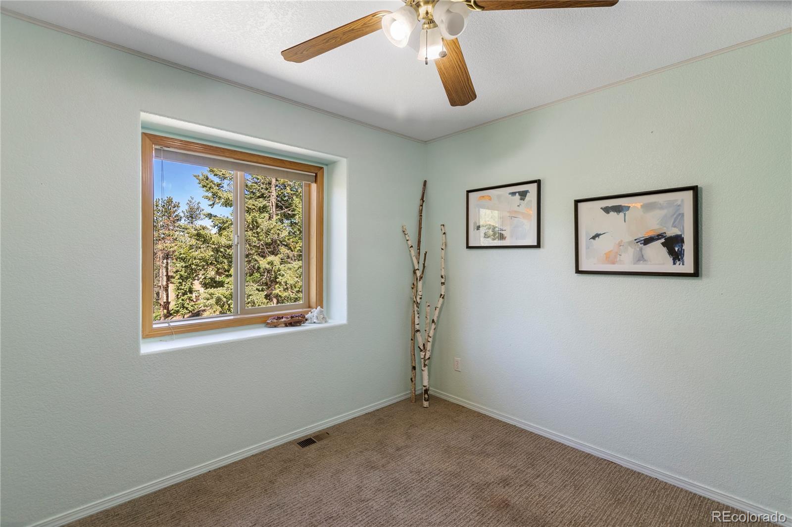 MLS Image #28 for 2988  sunnywood avenue,woodland park, Colorado
