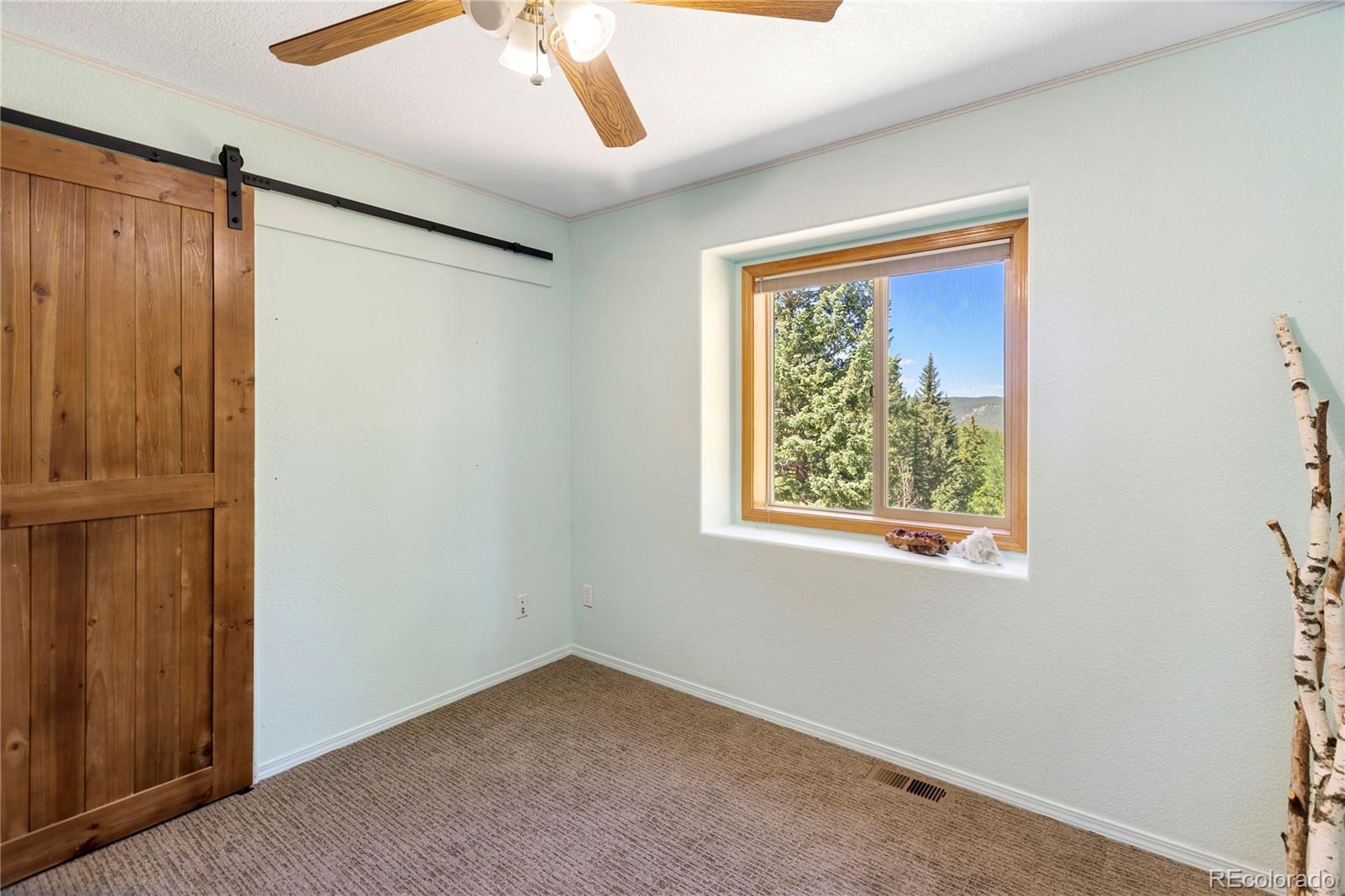 MLS Image #29 for 2988  sunnywood avenue,woodland park, Colorado
