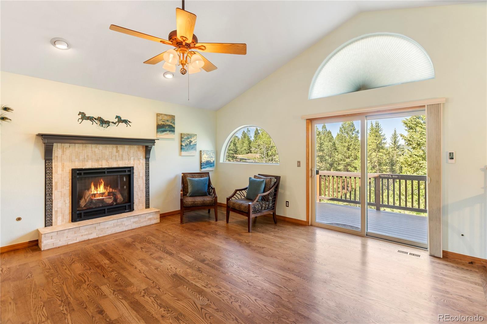 MLS Image #6 for 2988  sunnywood avenue,woodland park, Colorado