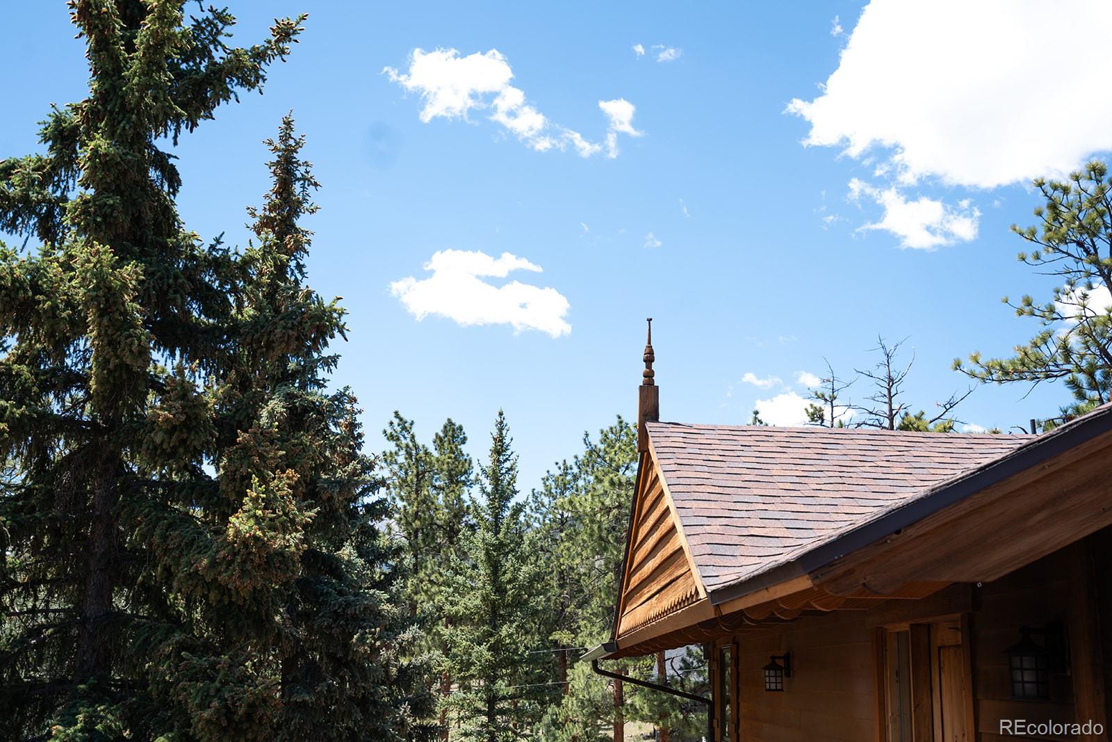 MLS Image #45 for 18525  via ponderosa drive,buena vista, Colorado