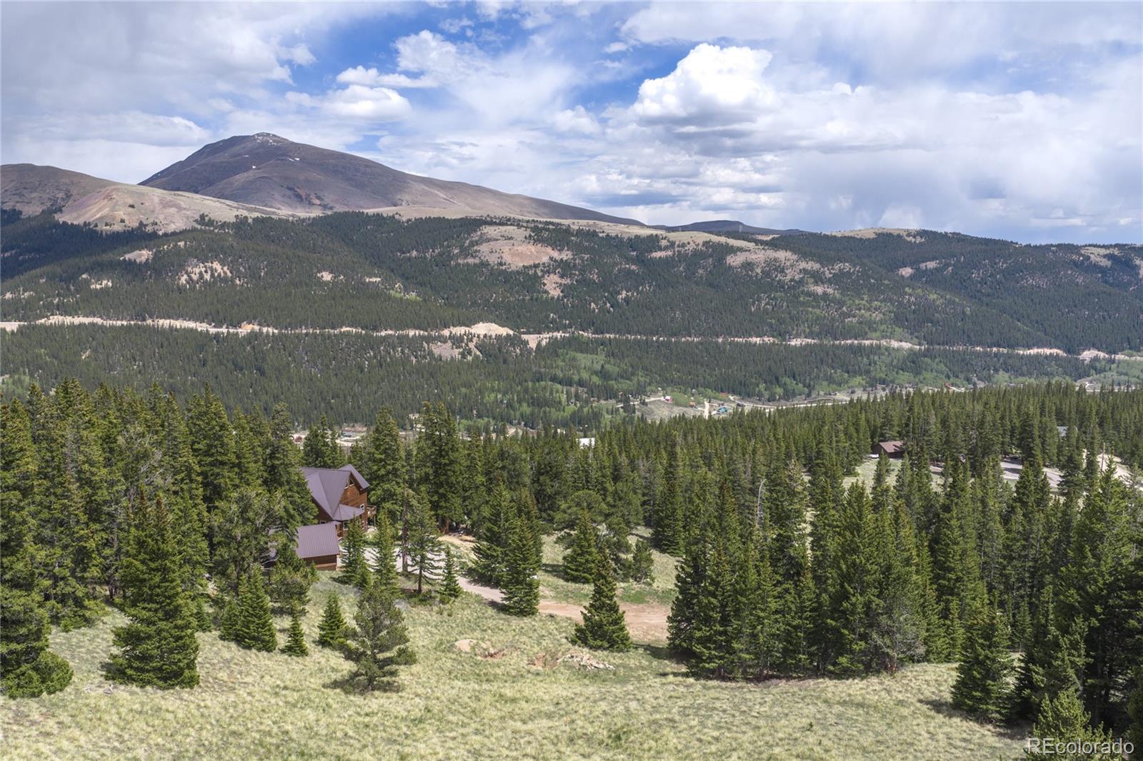 MLS Image #13 for 62  lazy rex road,fairplay, Colorado