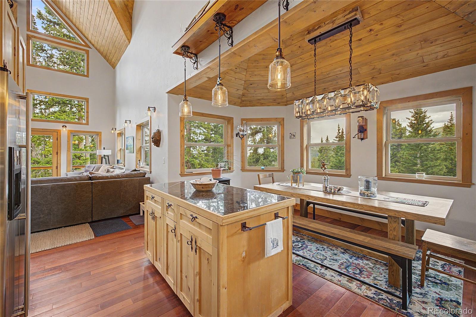 MLS Image #16 for 62  lazy rex road,fairplay, Colorado