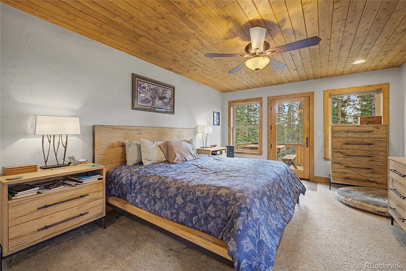 MLS Image #19 for 62  lazy rex road,fairplay, Colorado