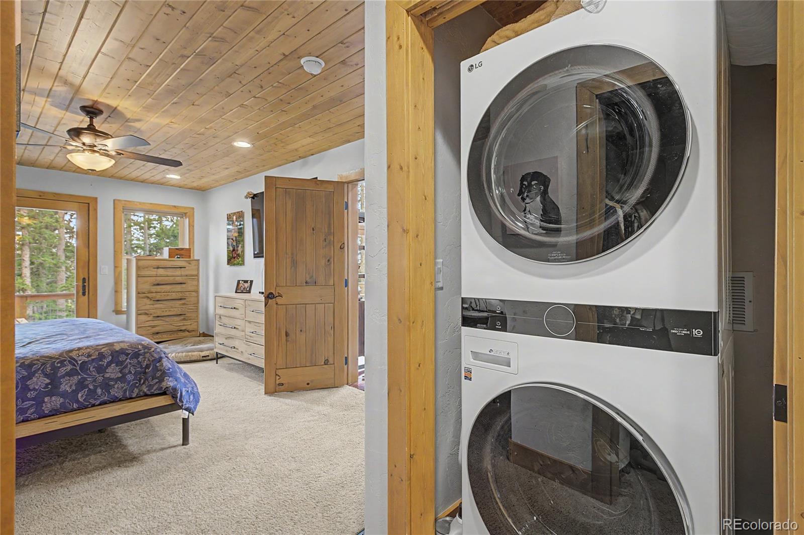 MLS Image #22 for 62  lazy rex road,fairplay, Colorado