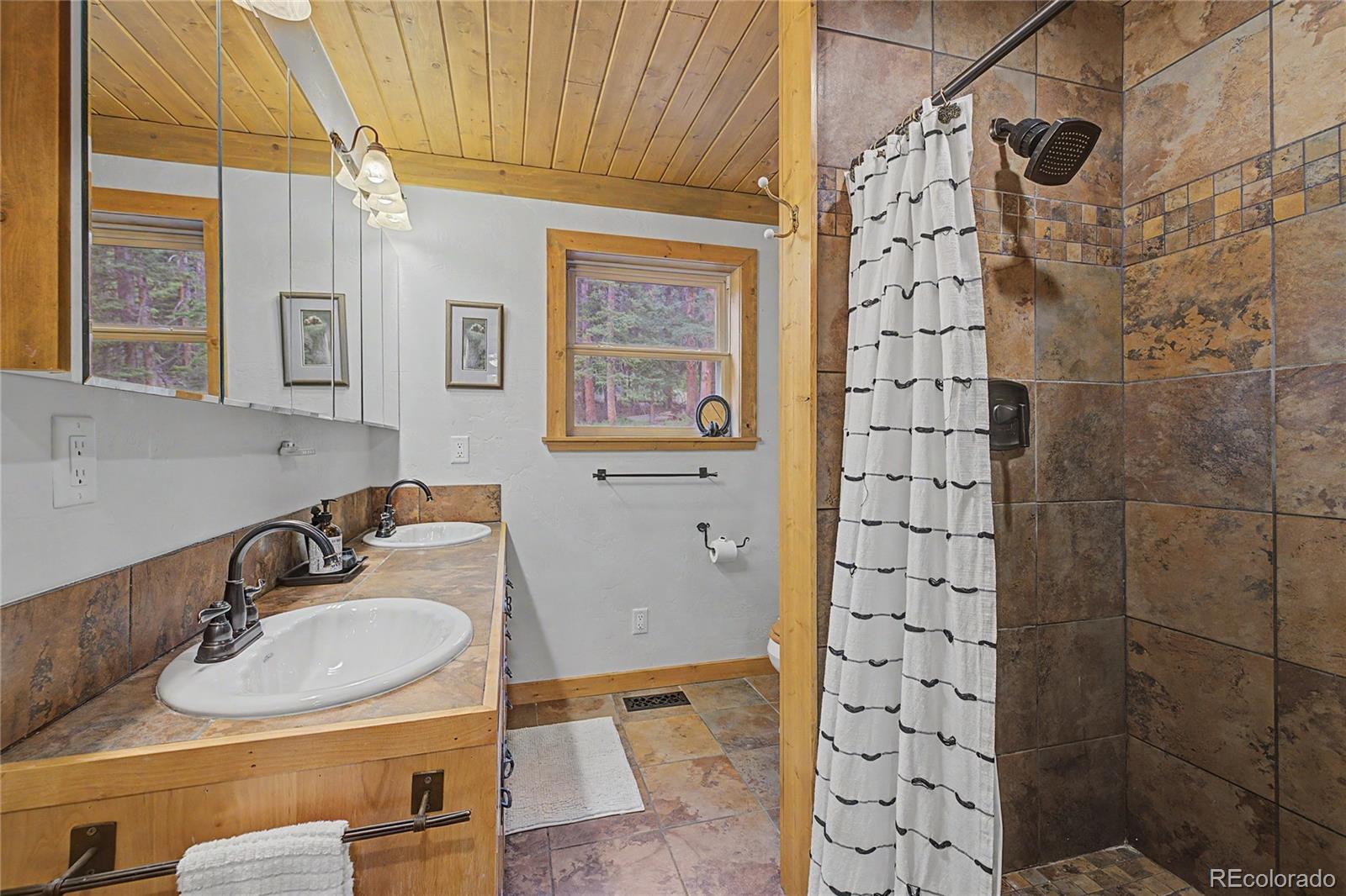 MLS Image #23 for 62  lazy rex road,fairplay, Colorado