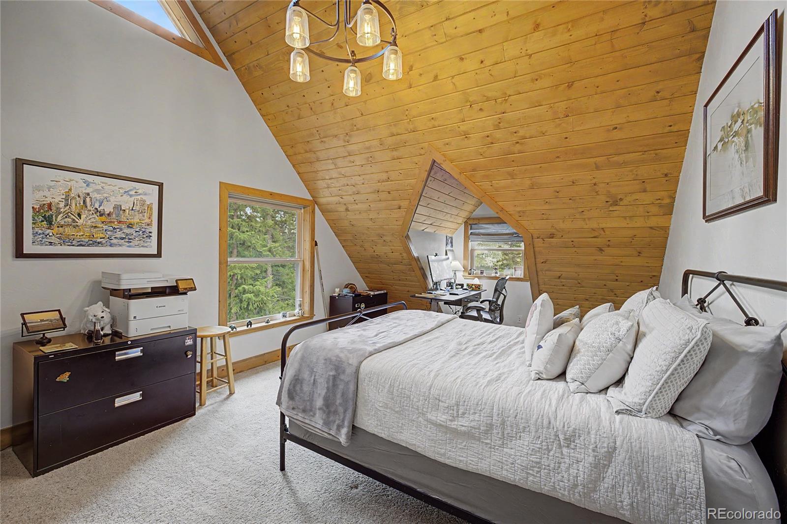 MLS Image #25 for 62  lazy rex road,fairplay, Colorado
