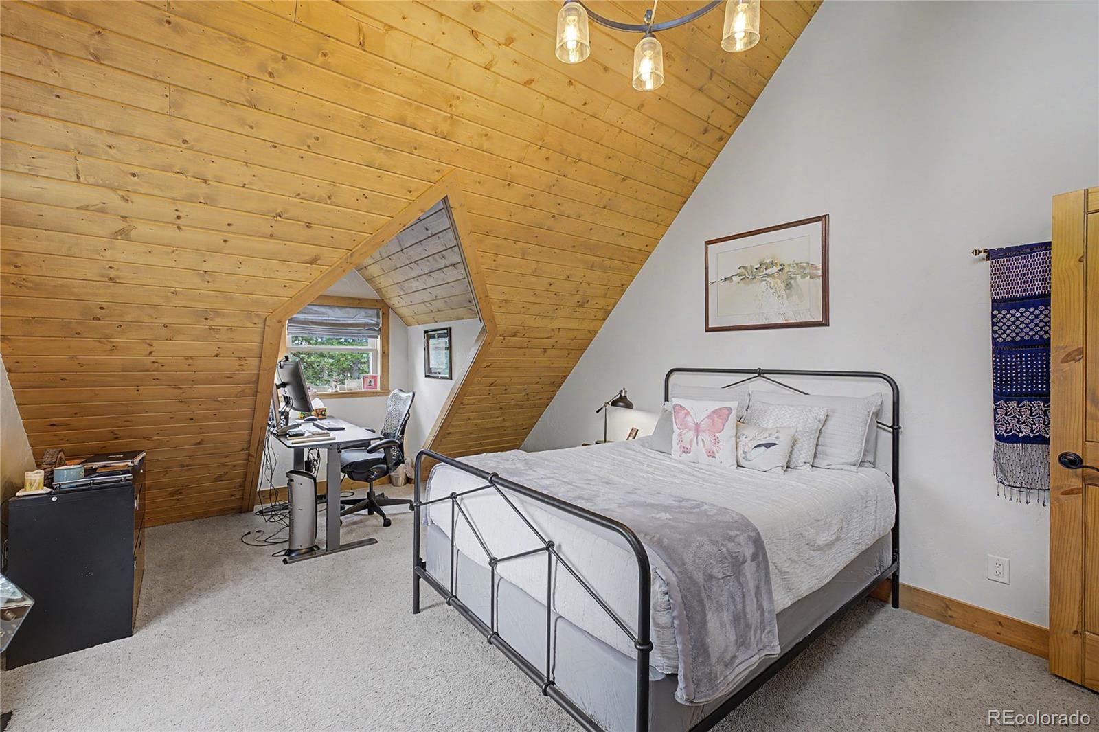 MLS Image #26 for 62  lazy rex road,fairplay, Colorado