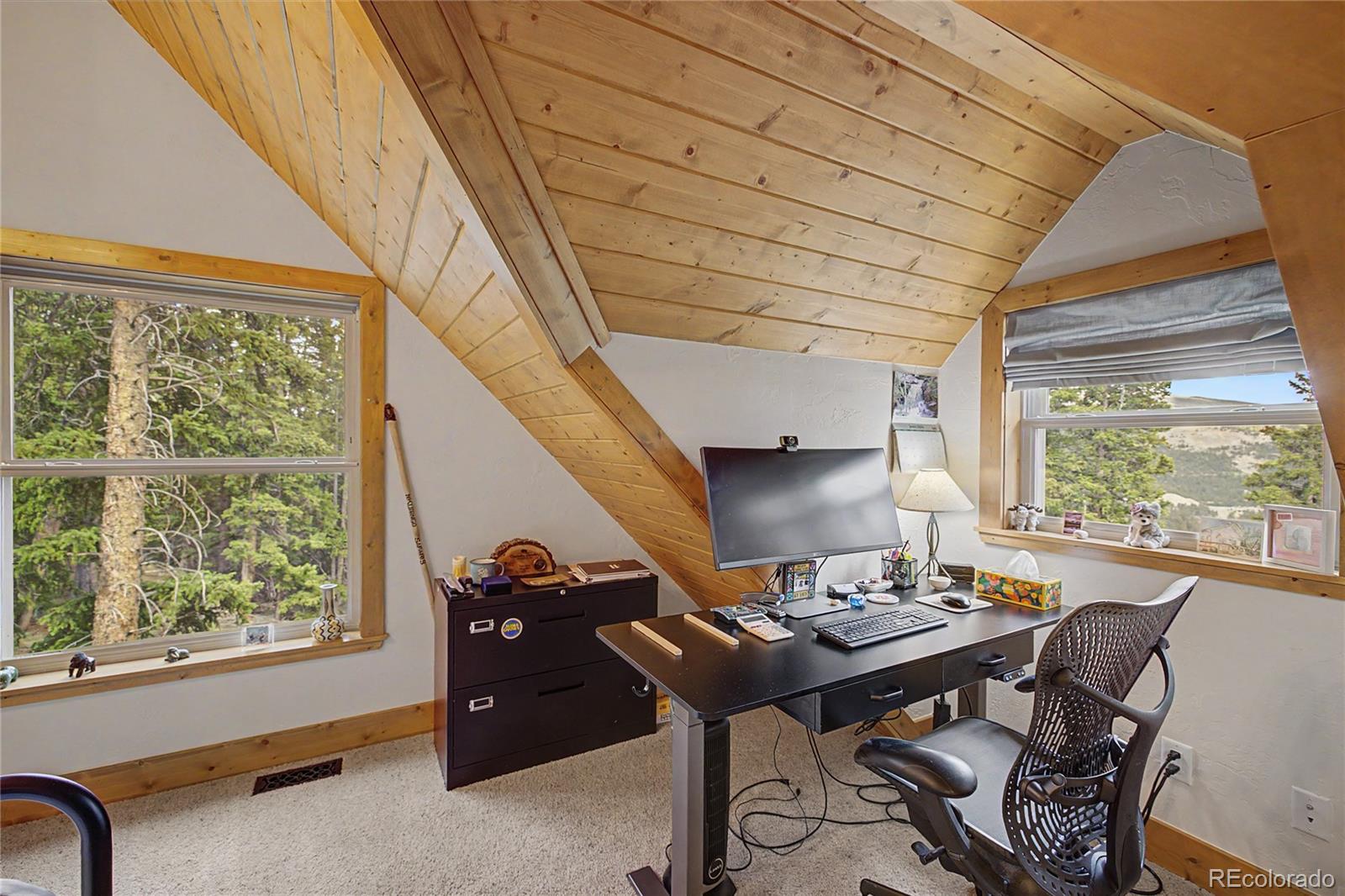 MLS Image #27 for 62  lazy rex road,fairplay, Colorado