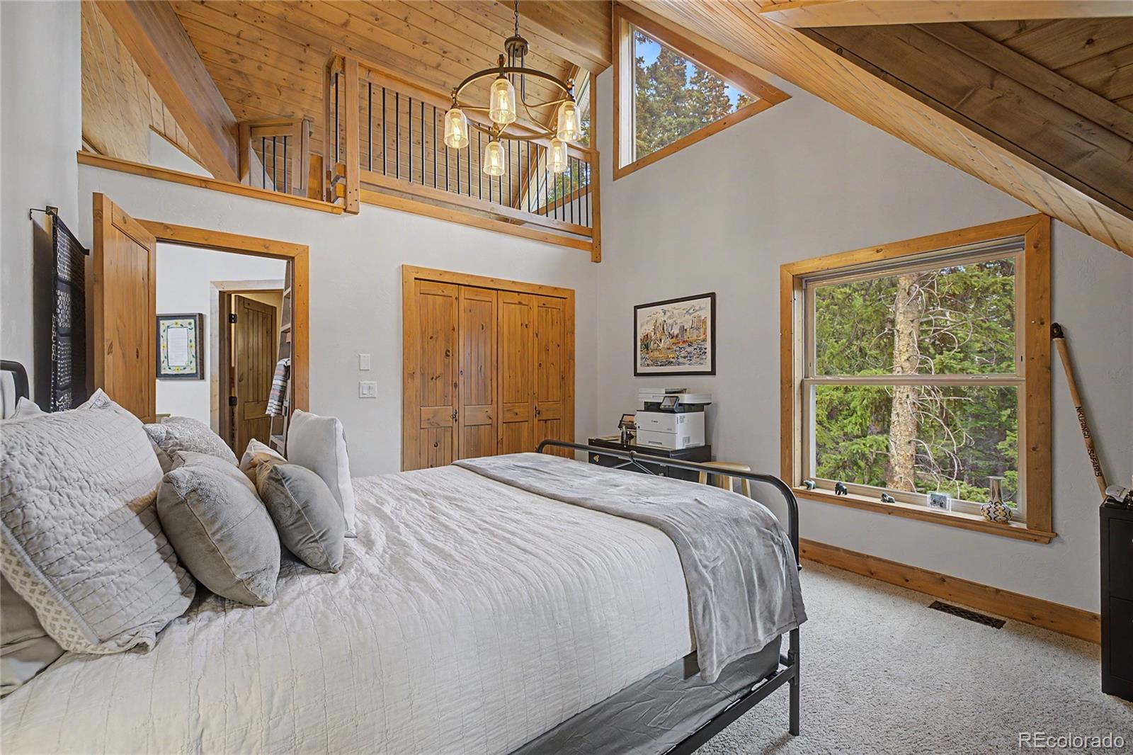 MLS Image #28 for 62  lazy rex road,fairplay, Colorado