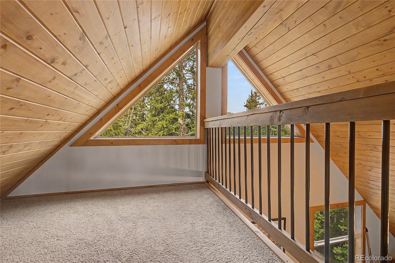 MLS Image #29 for 62  lazy rex road,fairplay, Colorado