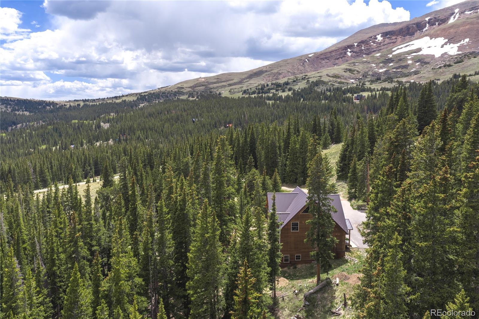 MLS Image #45 for 62  lazy rex road,fairplay, Colorado