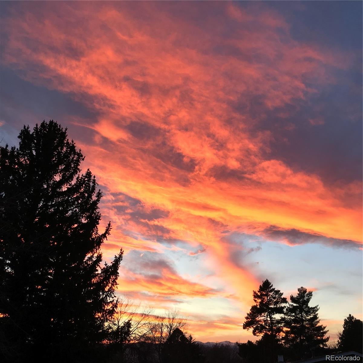 MLS Image #28 for 6551 s albion way,littleton, Colorado