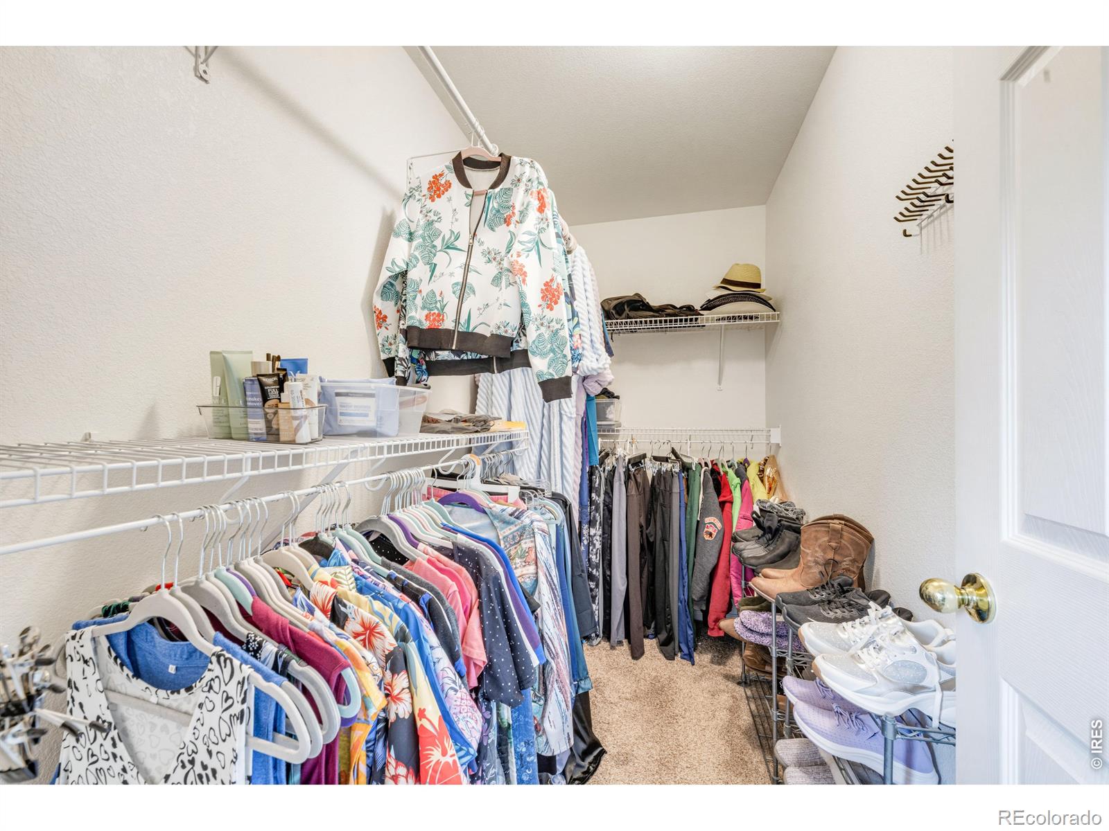 MLS Image #18 for 1848  elk springs street,loveland, Colorado