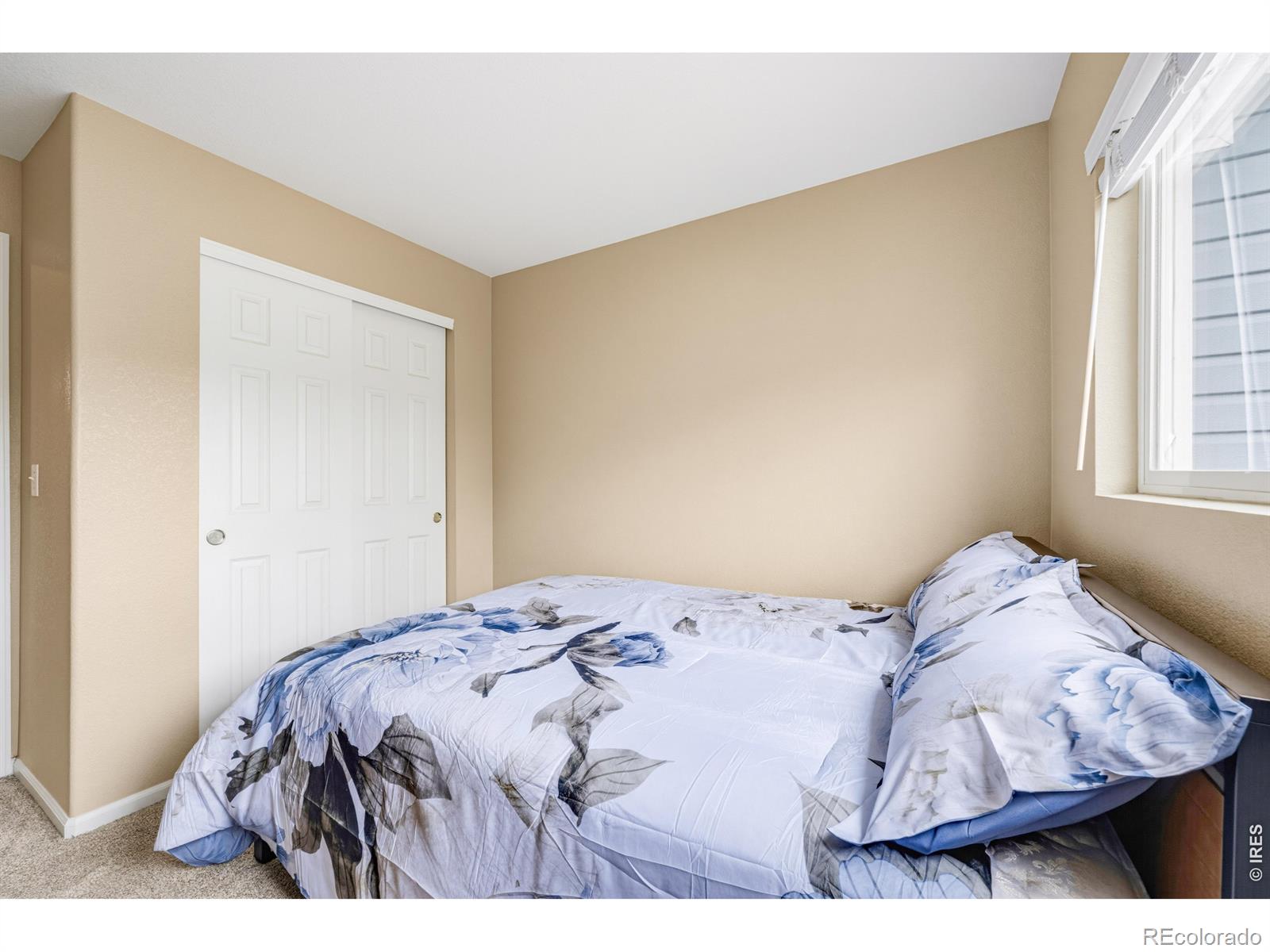 MLS Image #23 for 1848  elk springs street,loveland, Colorado