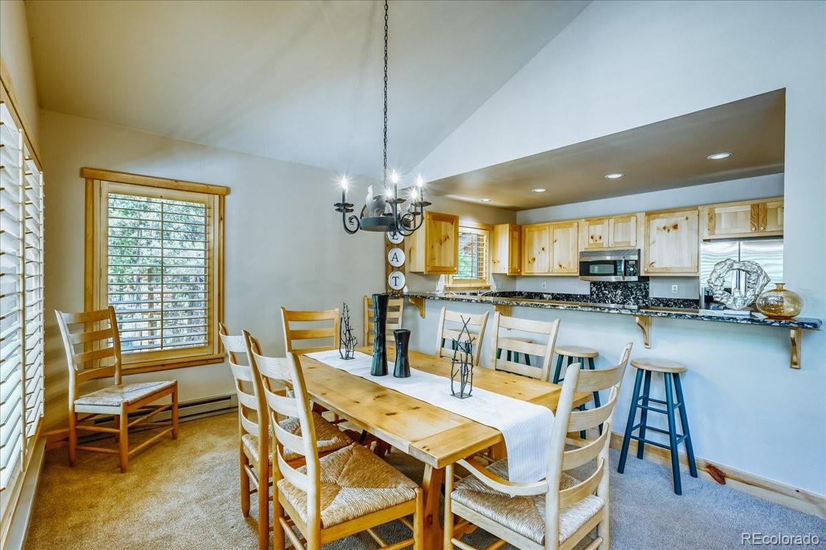 MLS Image #13 for 99  primrose lane,keystone, Colorado