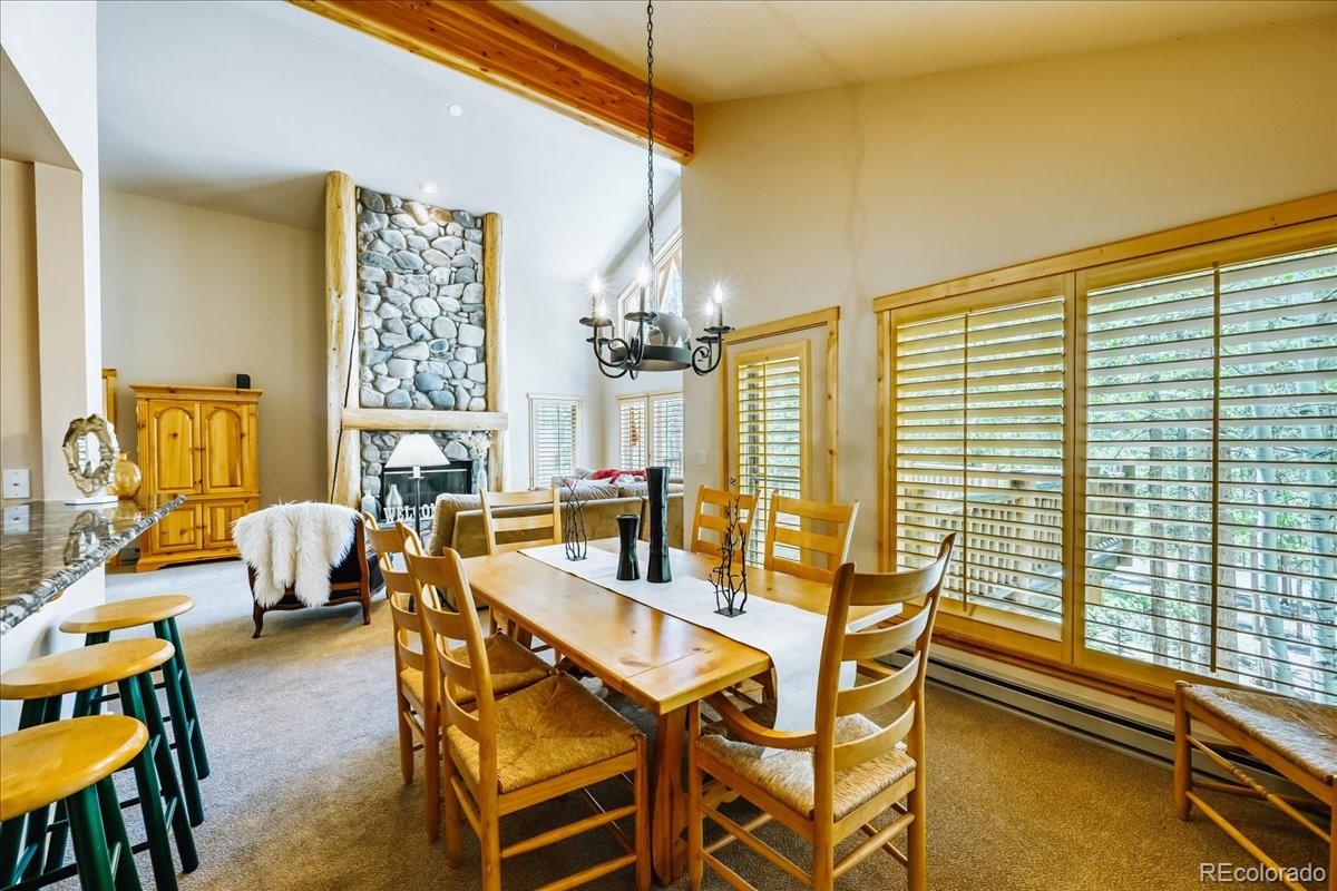 MLS Image #15 for 99  primrose lane,keystone, Colorado