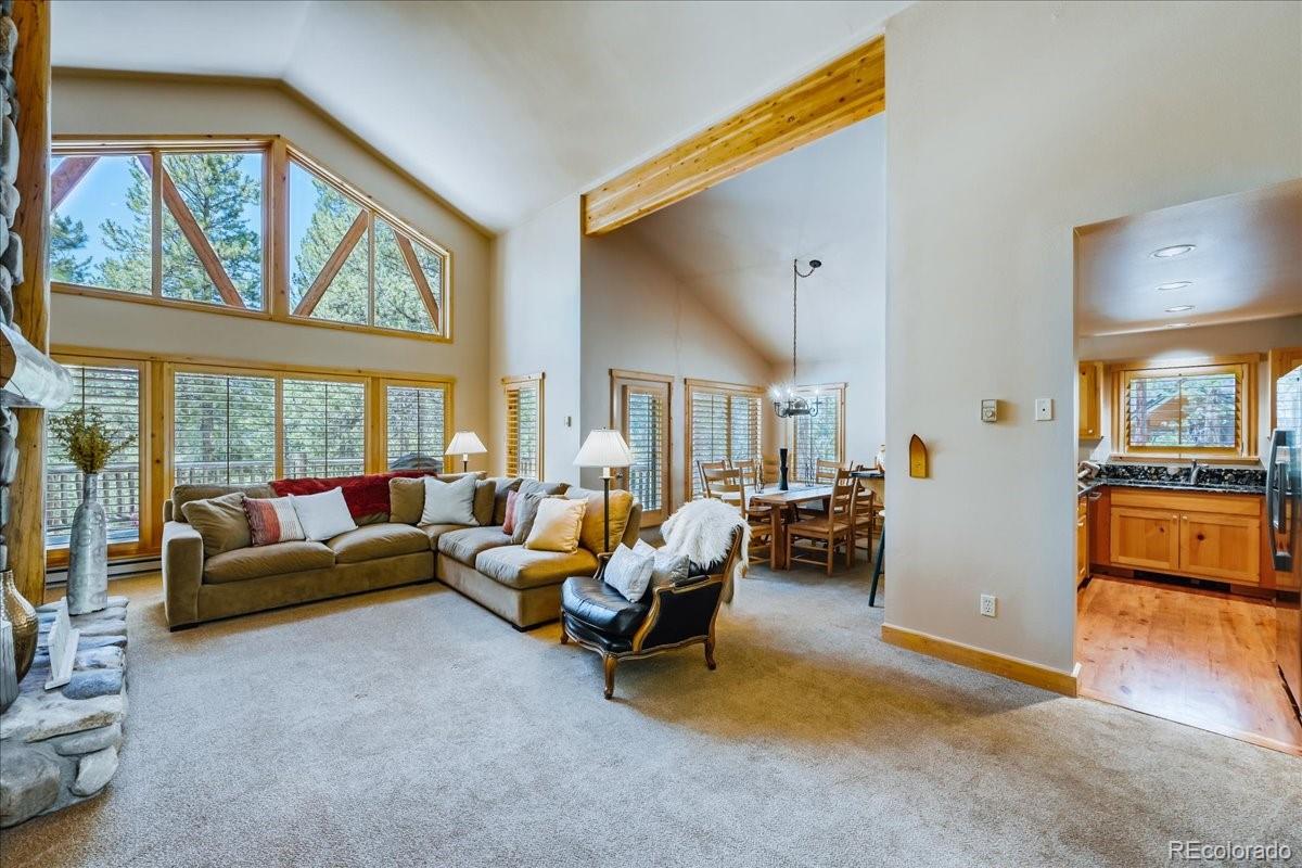 MLS Image #2 for 99  primrose lane,keystone, Colorado
