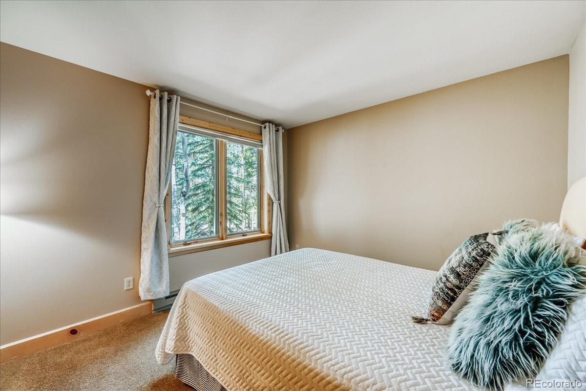 MLS Image #20 for 99  primrose lane,keystone, Colorado