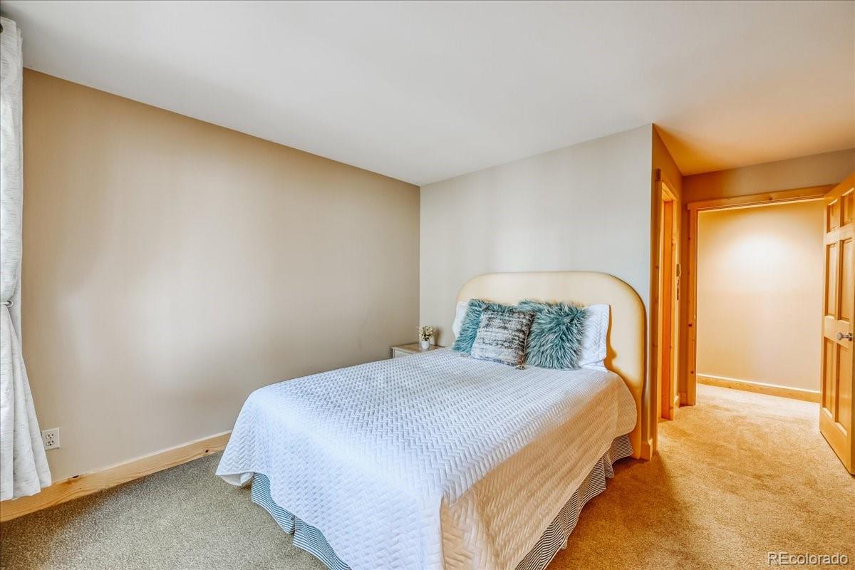 MLS Image #21 for 99  primrose lane,keystone, Colorado