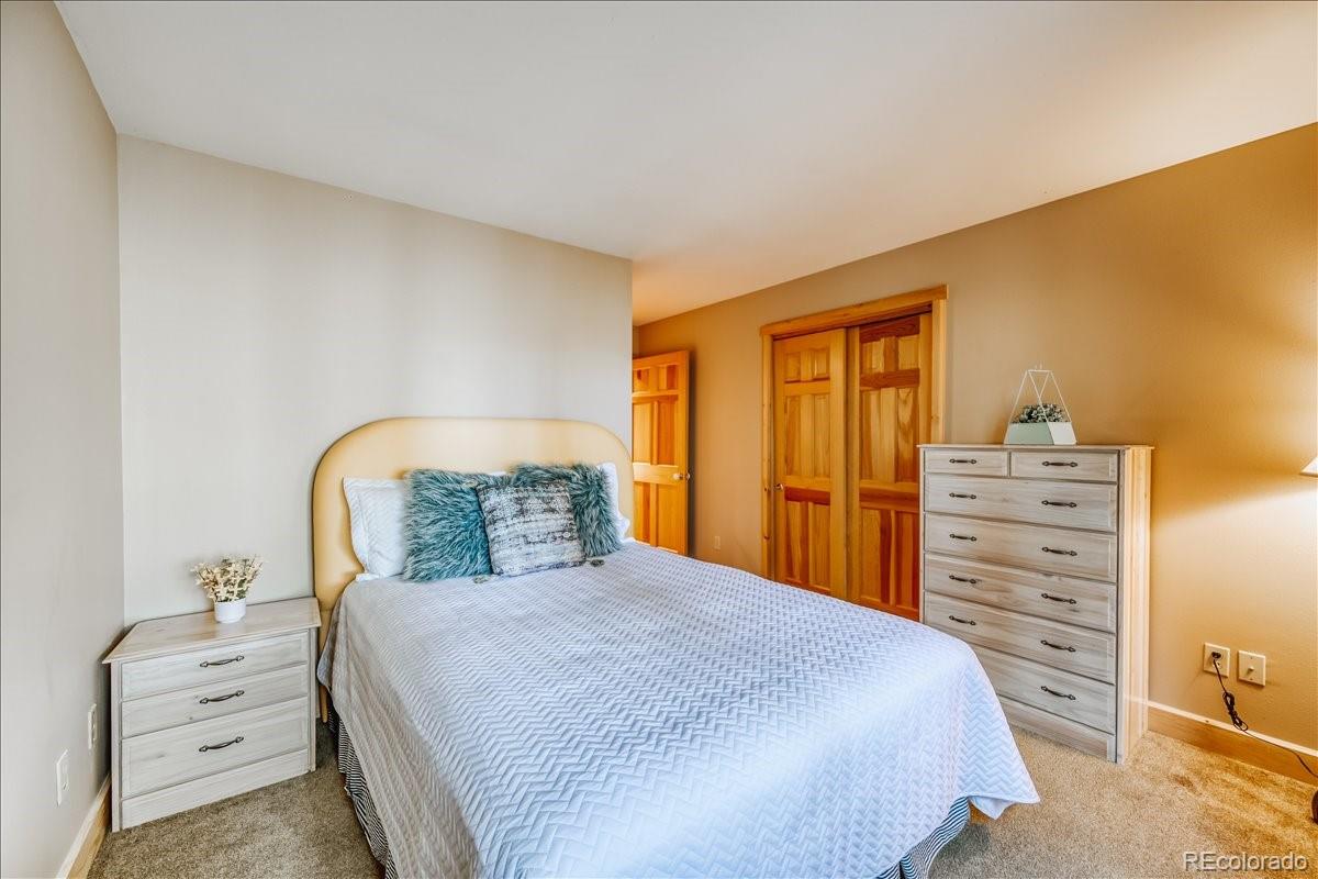 MLS Image #22 for 99  primrose lane,keystone, Colorado