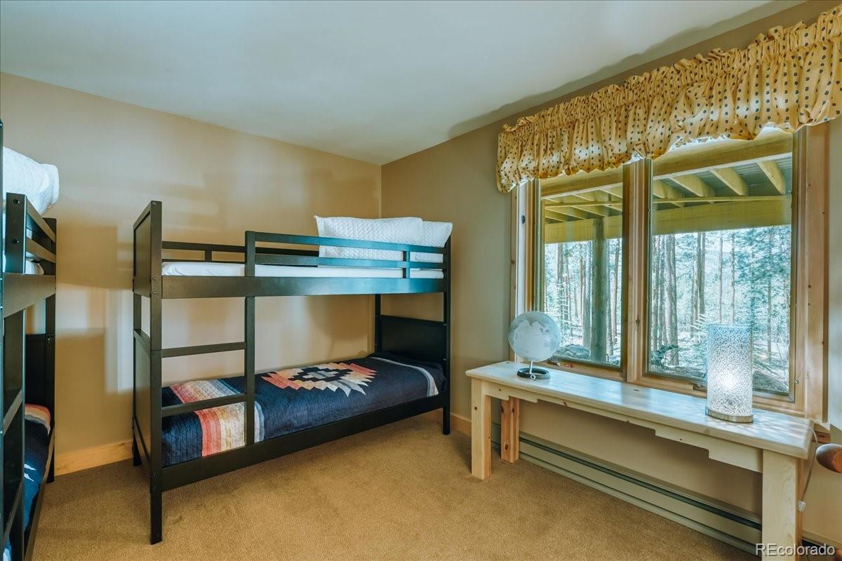 MLS Image #24 for 99  primrose lane,keystone, Colorado