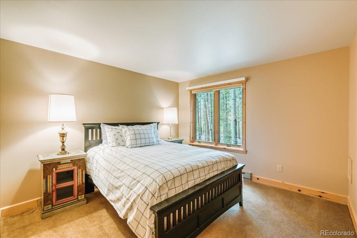 MLS Image #27 for 99  primrose lane,keystone, Colorado